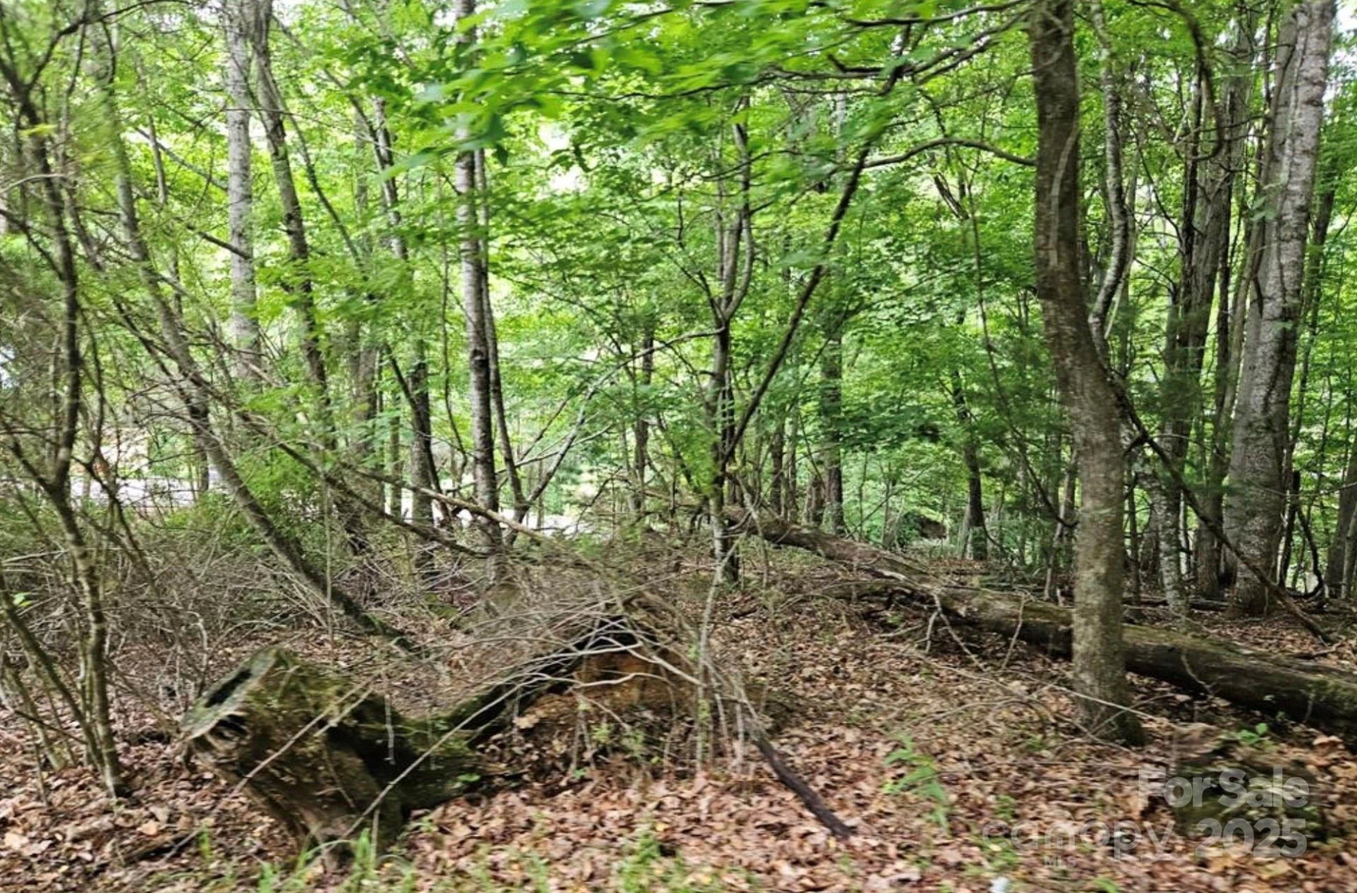 Lot 3 Mountain View Road - Photo 9