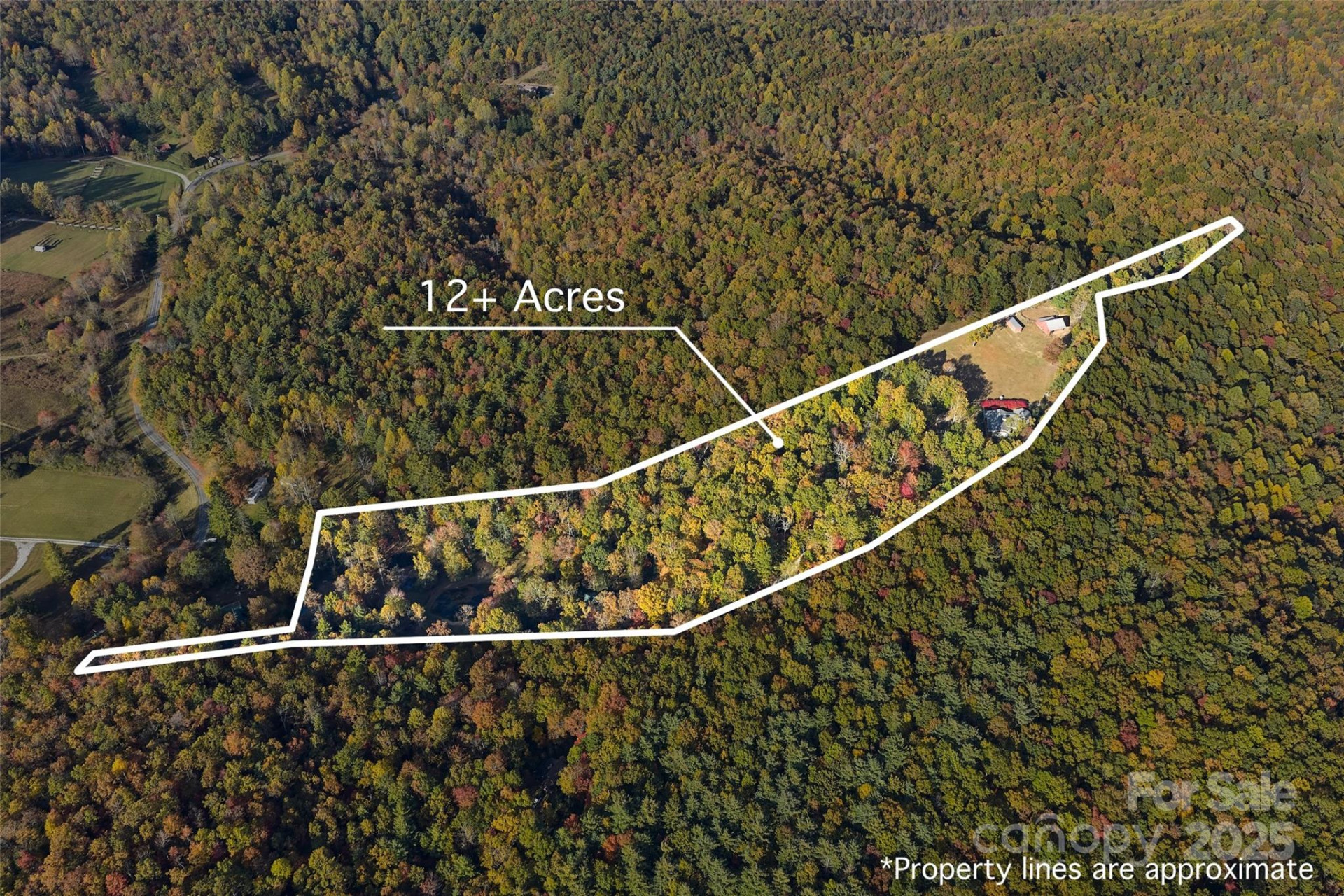 325, 141 & 75 Owl Haven Lane - Photo 3