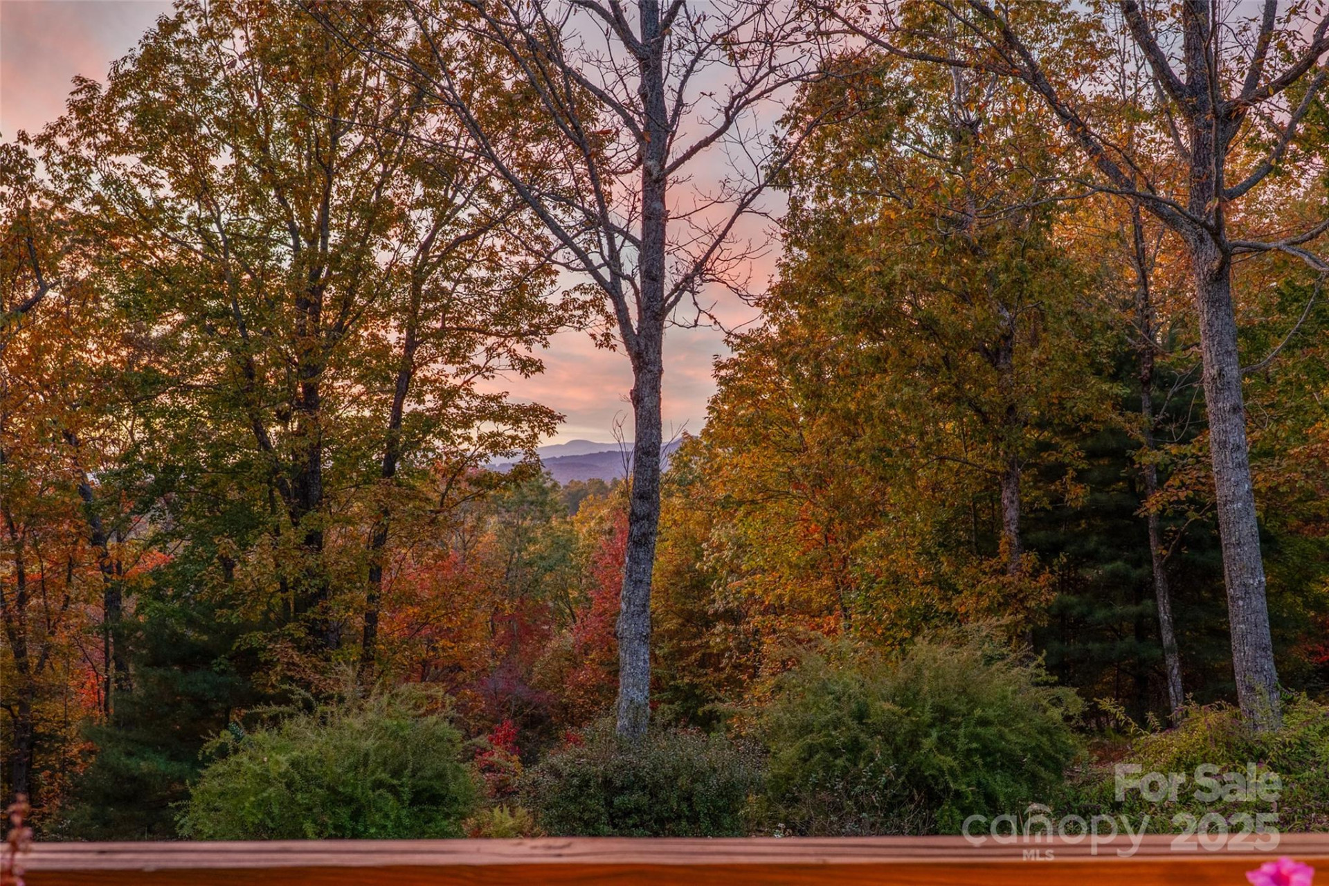 325, 141 & 75 Owl Haven Lane - Photo 35