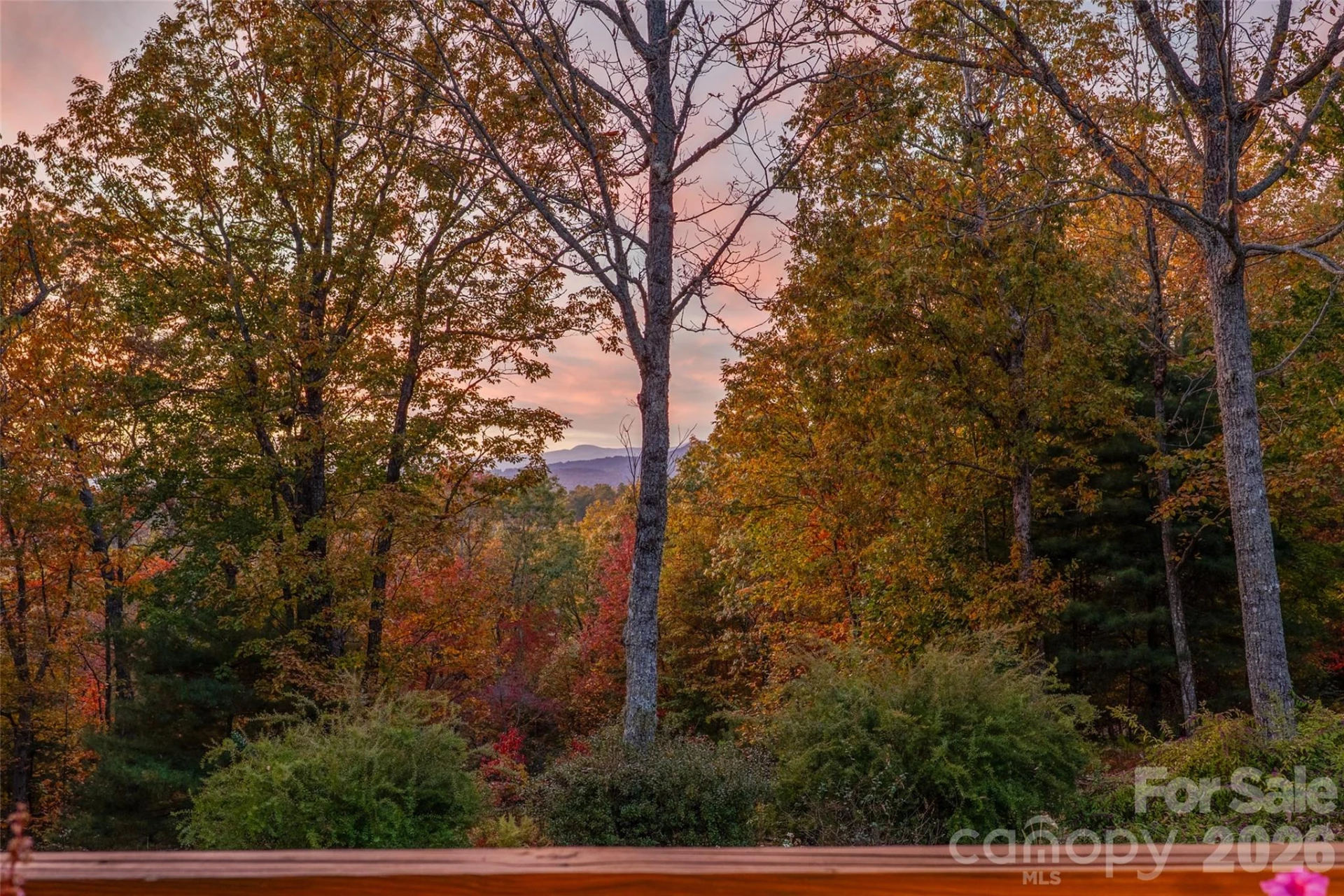 325, 141 & 75 Owl Haven Lane - Photo 69