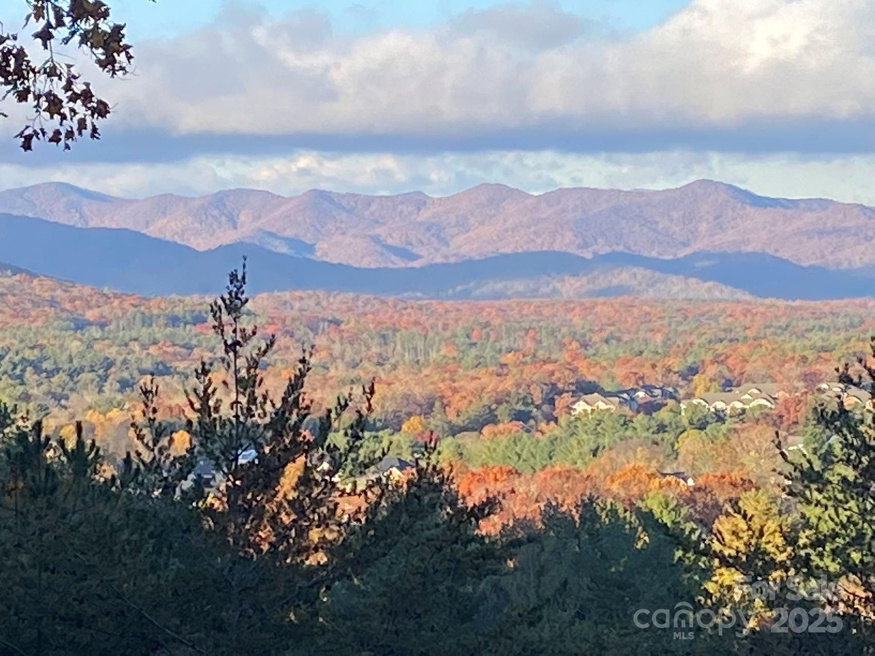 60 Park Avenue Street #60 - Photo 5