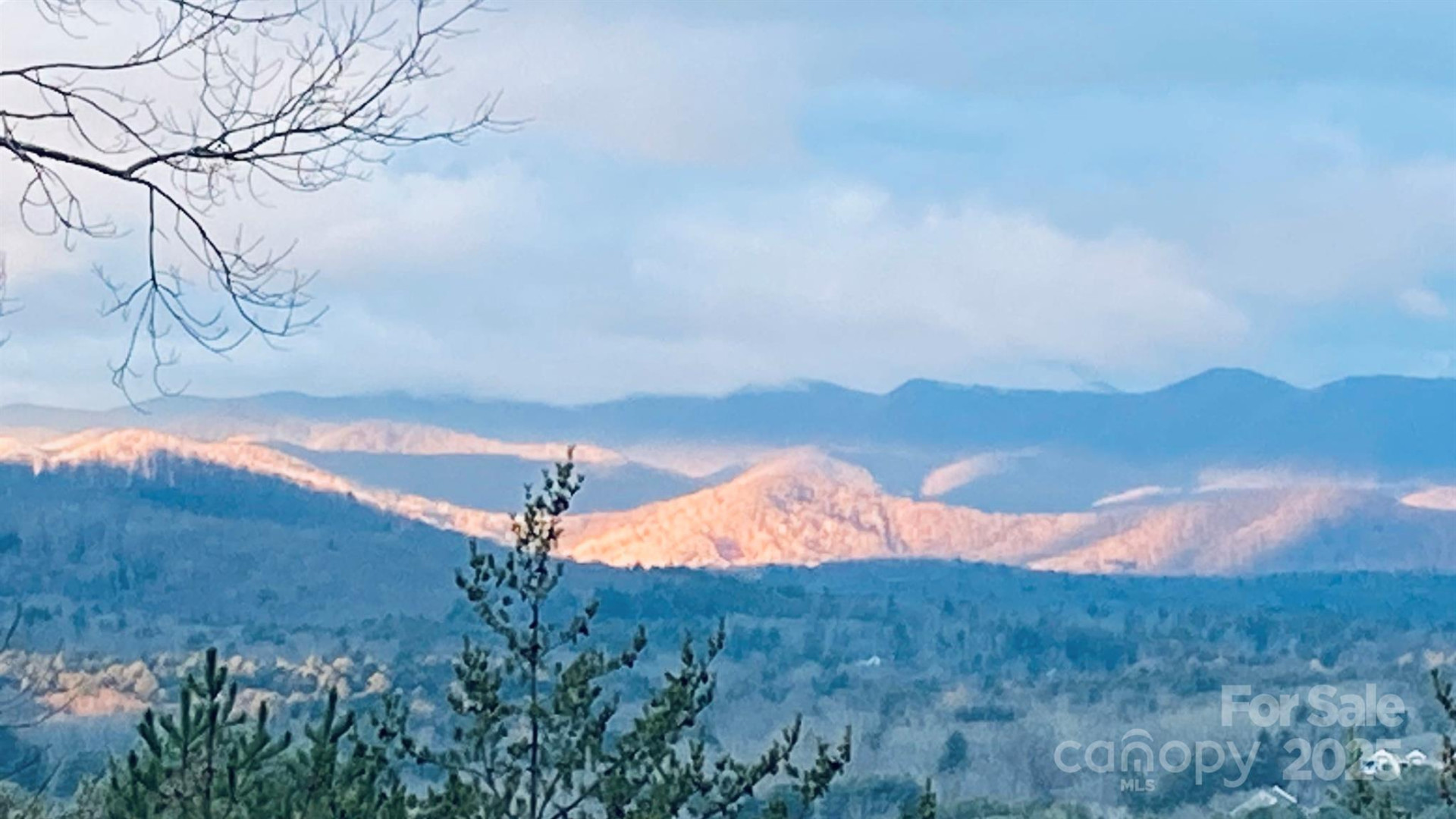 60 Park Avenue Street #60 - Photo 6