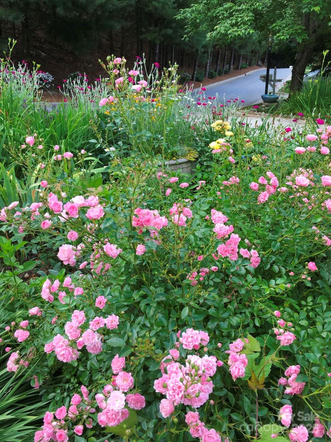 60 Park Avenue Street #60 - Photo 7