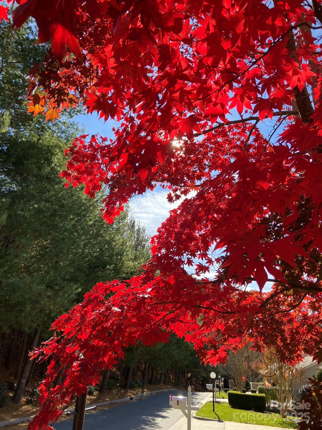 60 Park Avenue Street #60 - Photo 10