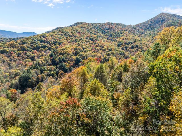 Lots 61 and  62 Wildwood Drive, Burnsville, NC, 28714