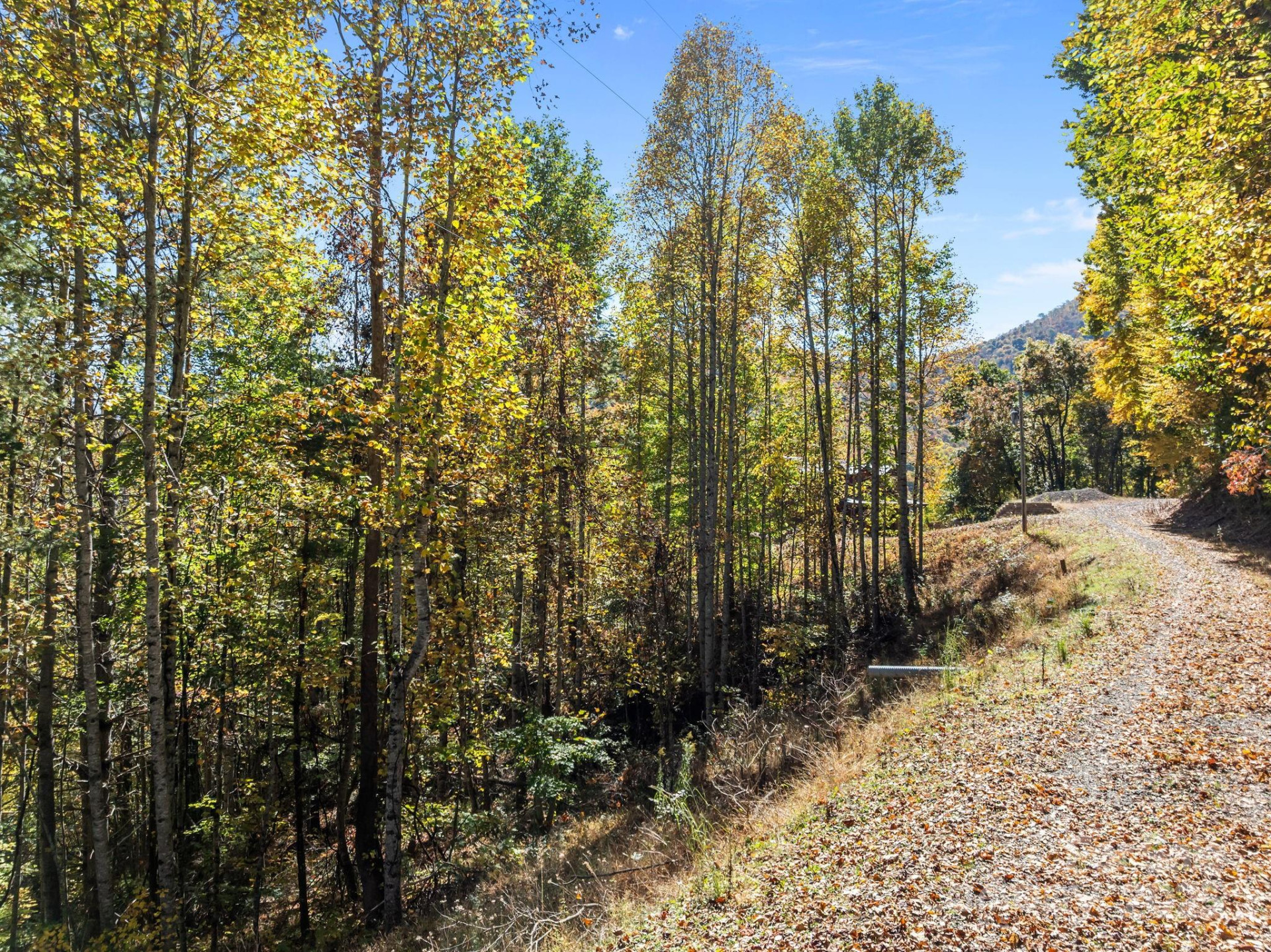 Lots 61 and  62 Wildwood Drive - Photo 2