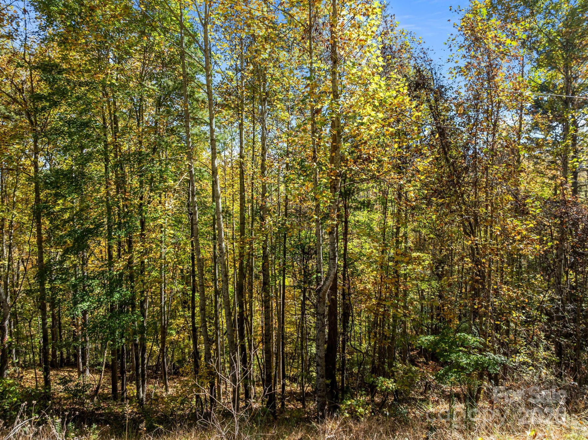 Lots 61 and  62 Wildwood Drive - Photo 15