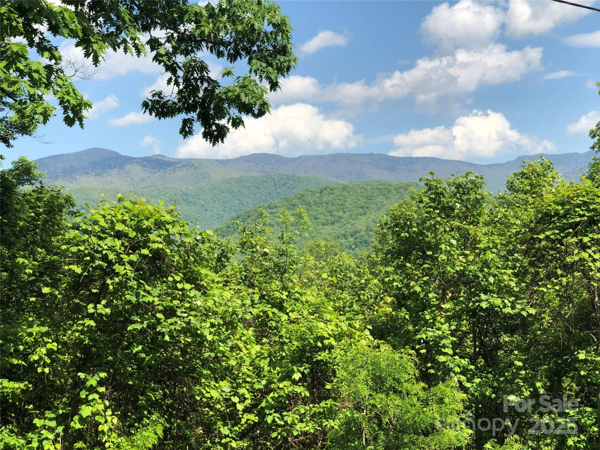 Lots 61 and  62 Wildwood Drive - Photo 18