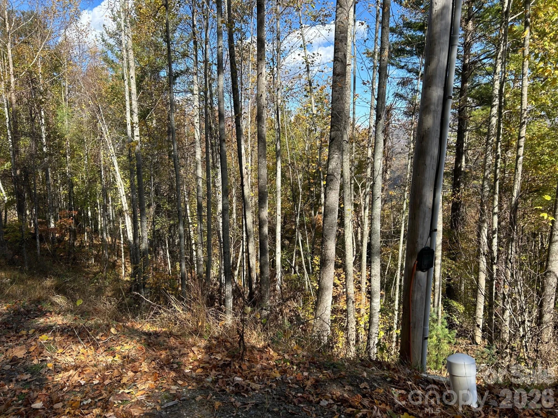 Lots 61 and  62 Wildwood Drive - Photo 43