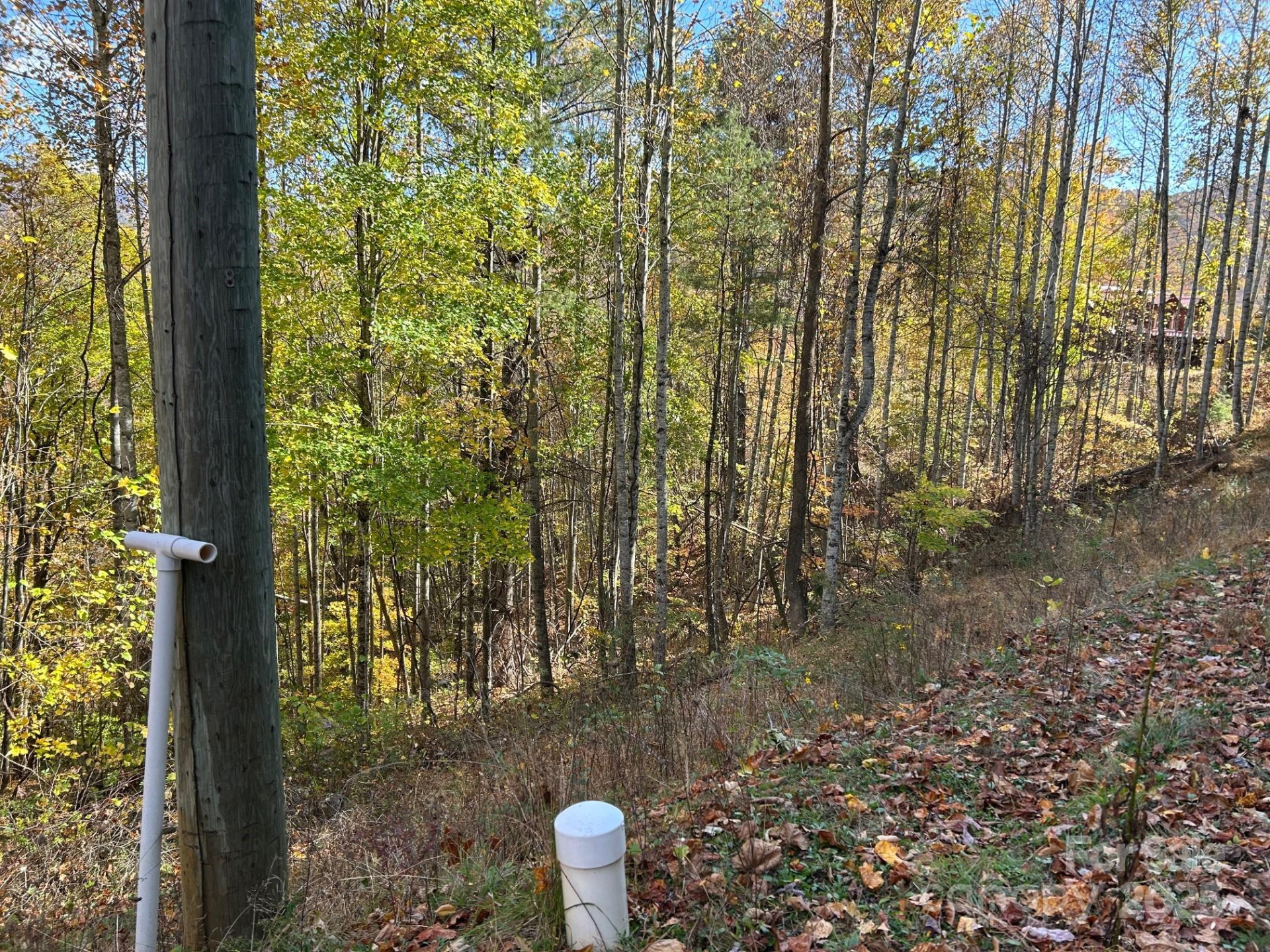 Lots 61 and  62 Wildwood Drive - Photo 23