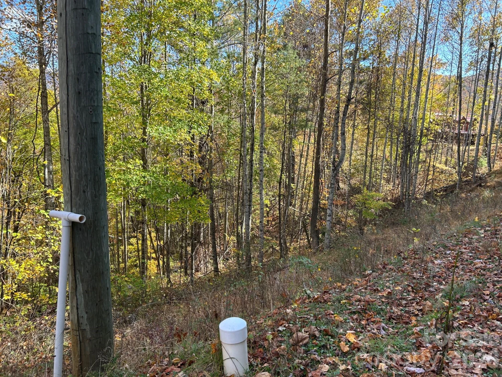 Lots 61 and  62 Wildwood Drive - Photo 45