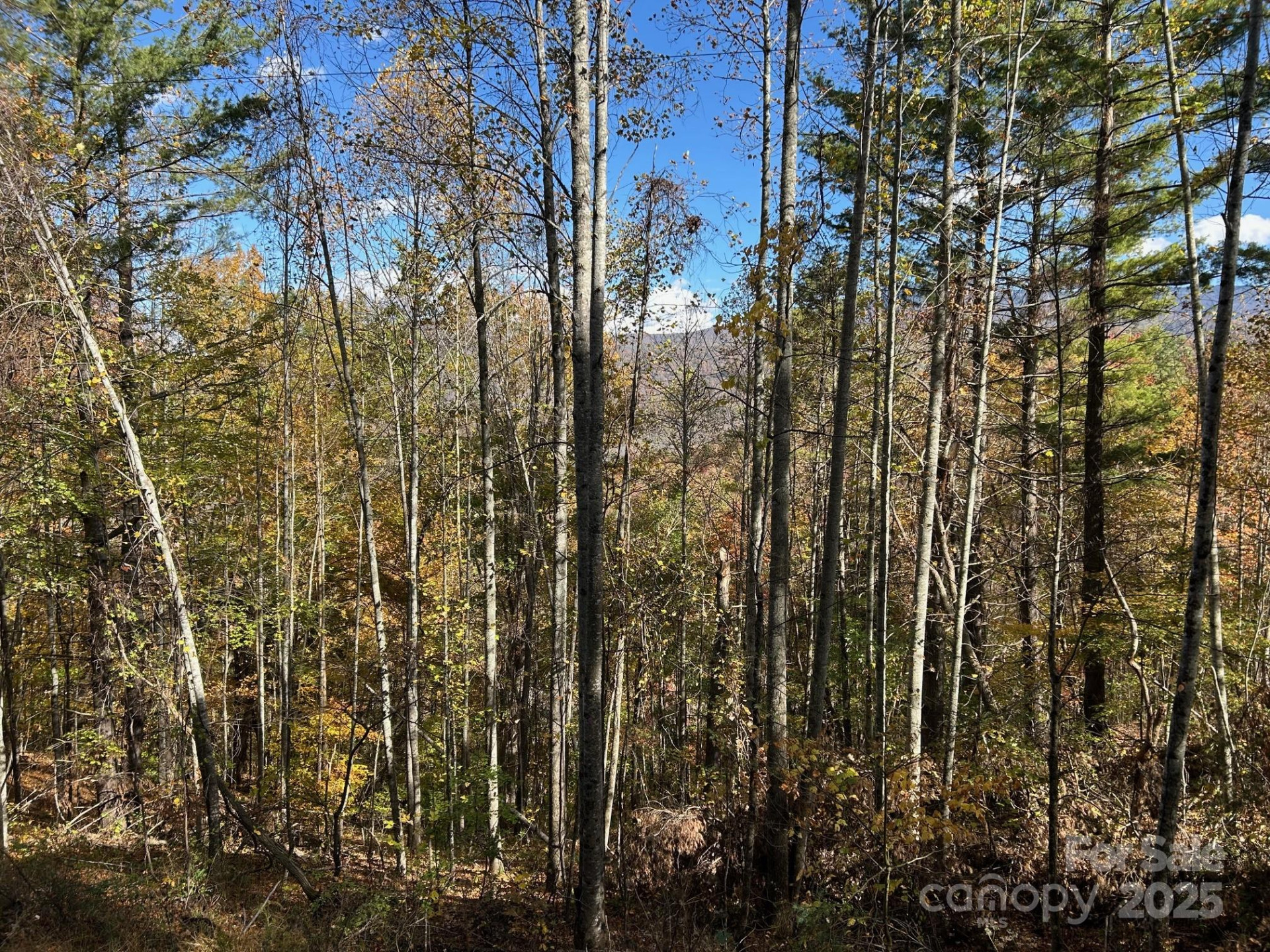 Lots 61 and  62 Wildwood Drive - Photo 24