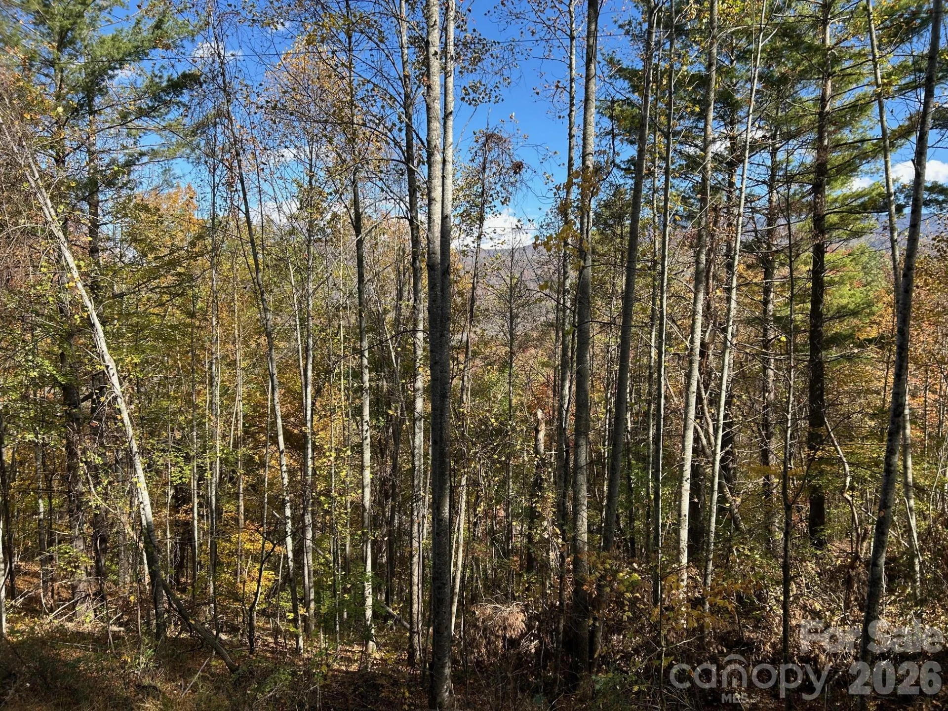 Lots 61 and  62 Wildwood Drive - Photo 47