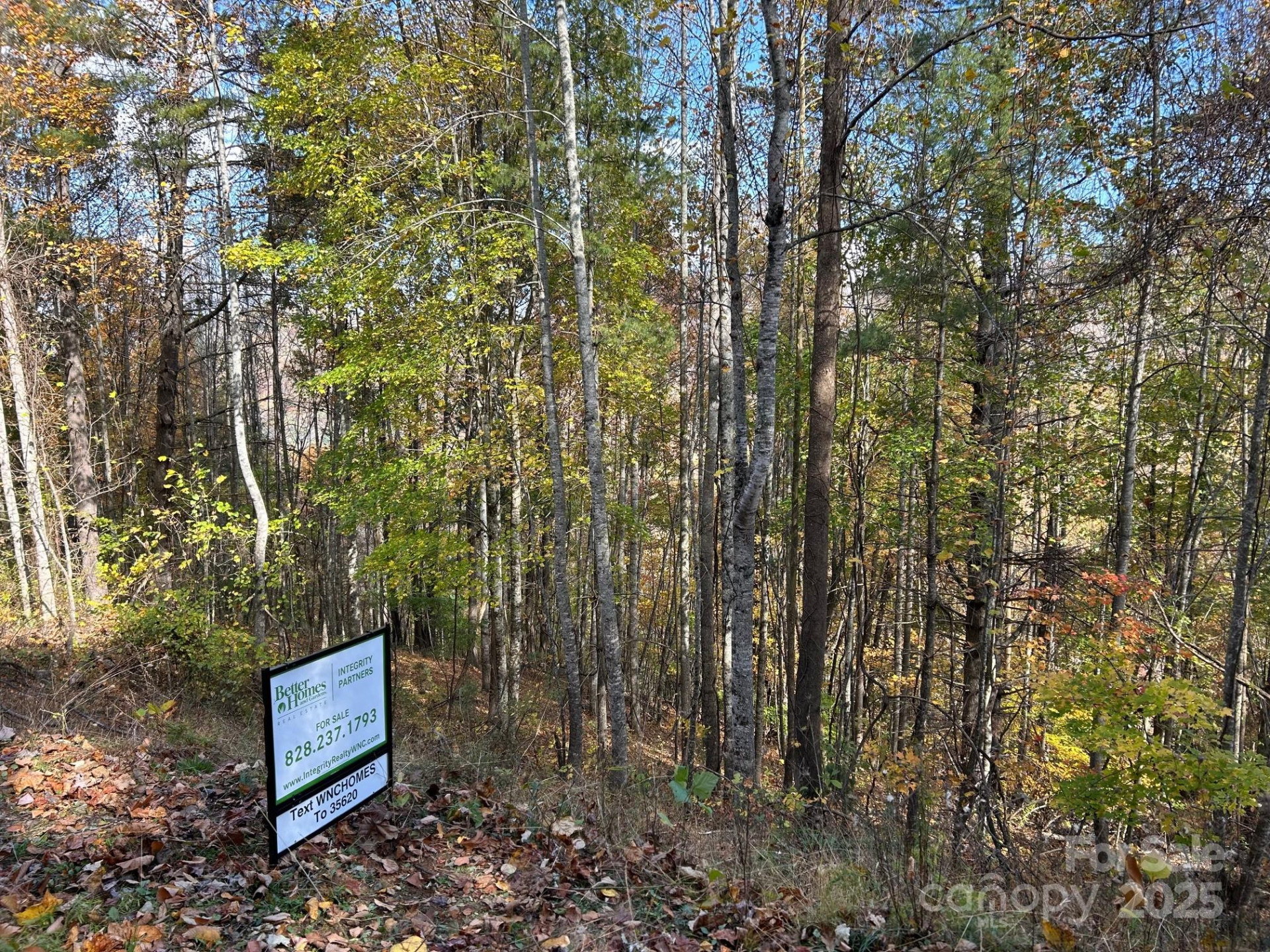 Lots 61 and  62 Wildwood Drive - Photo 25