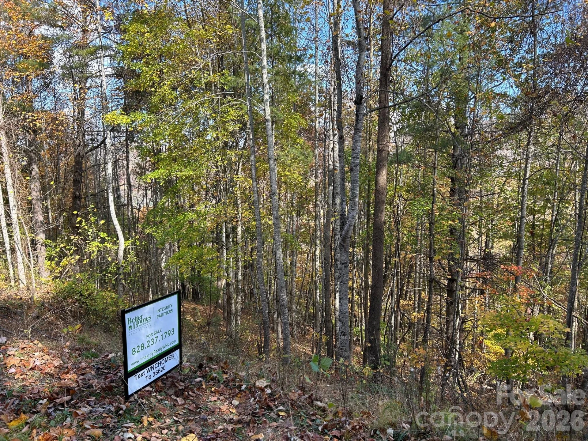 Lots 61 and  62 Wildwood Drive - Photo 49