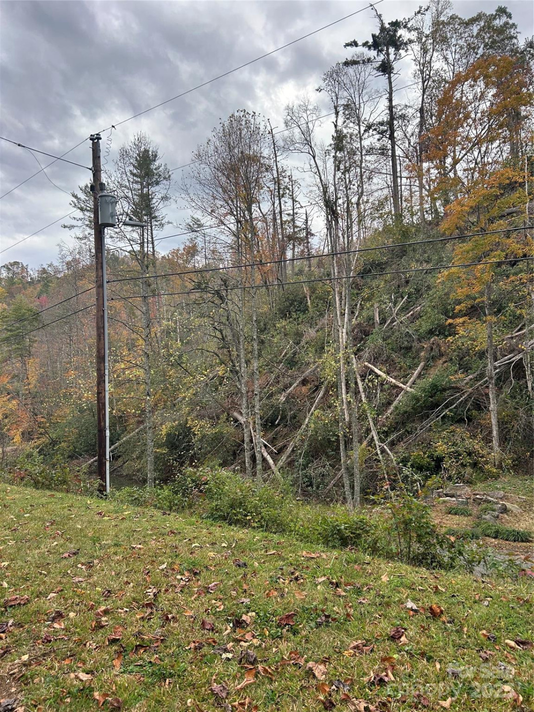 362 Melton Branch Road #A1-A6 - Photo 5