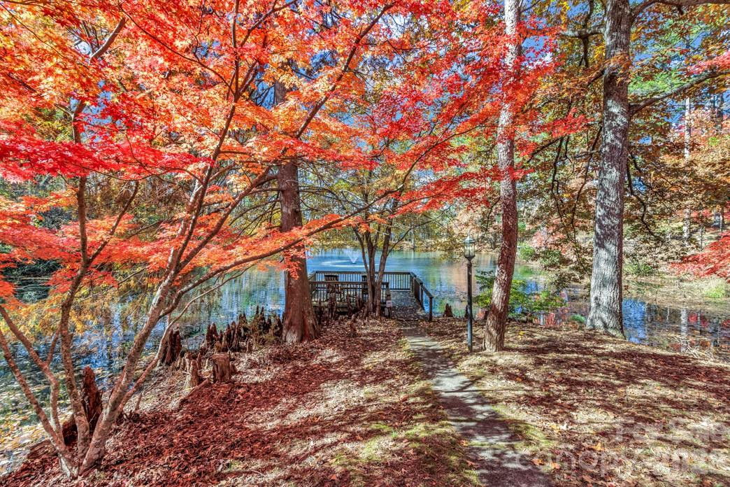 111 Hidden Pond Lane - Photo 48