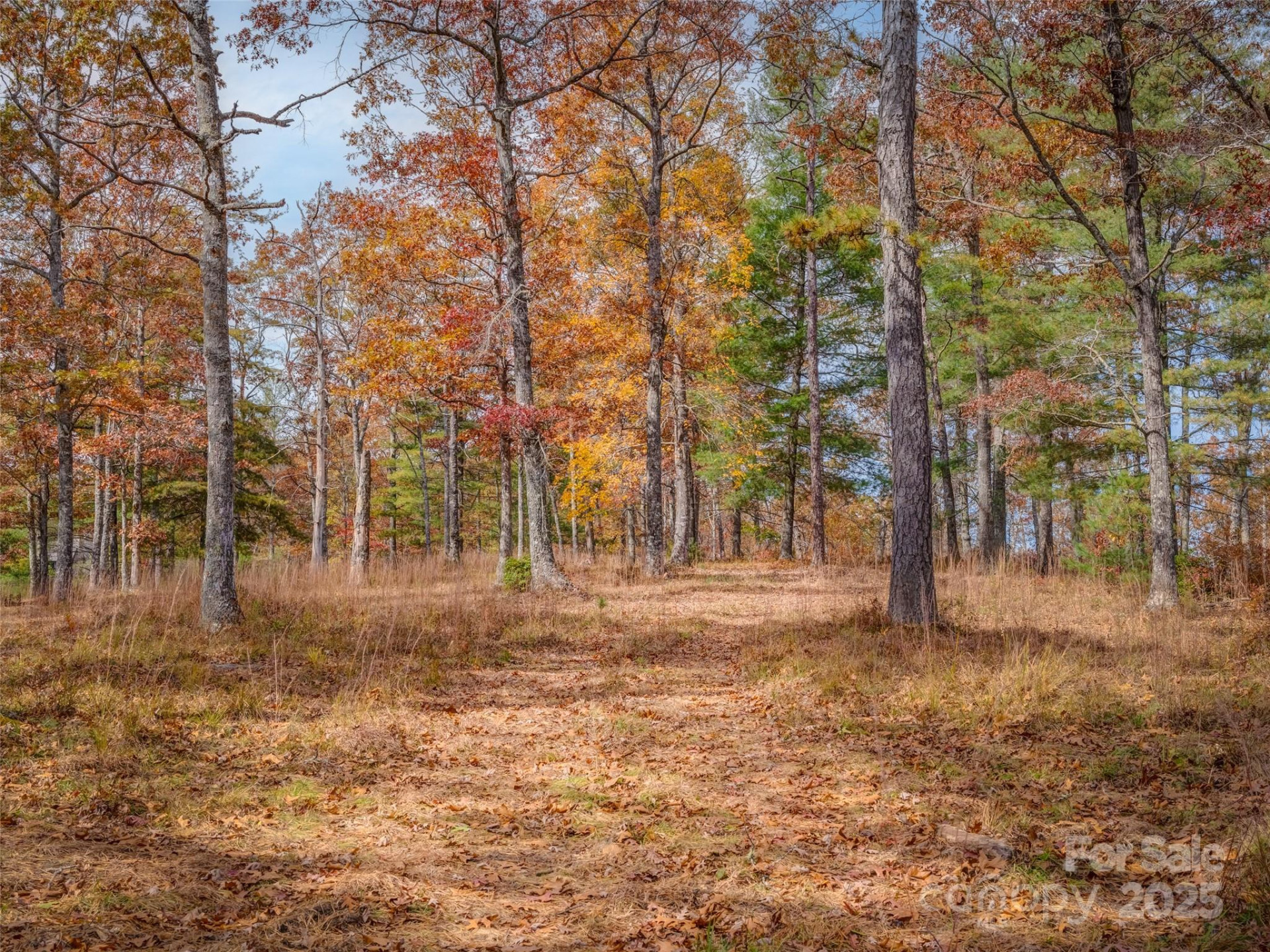 Lot 2-A Clearview Drive #2-A - Photo 18