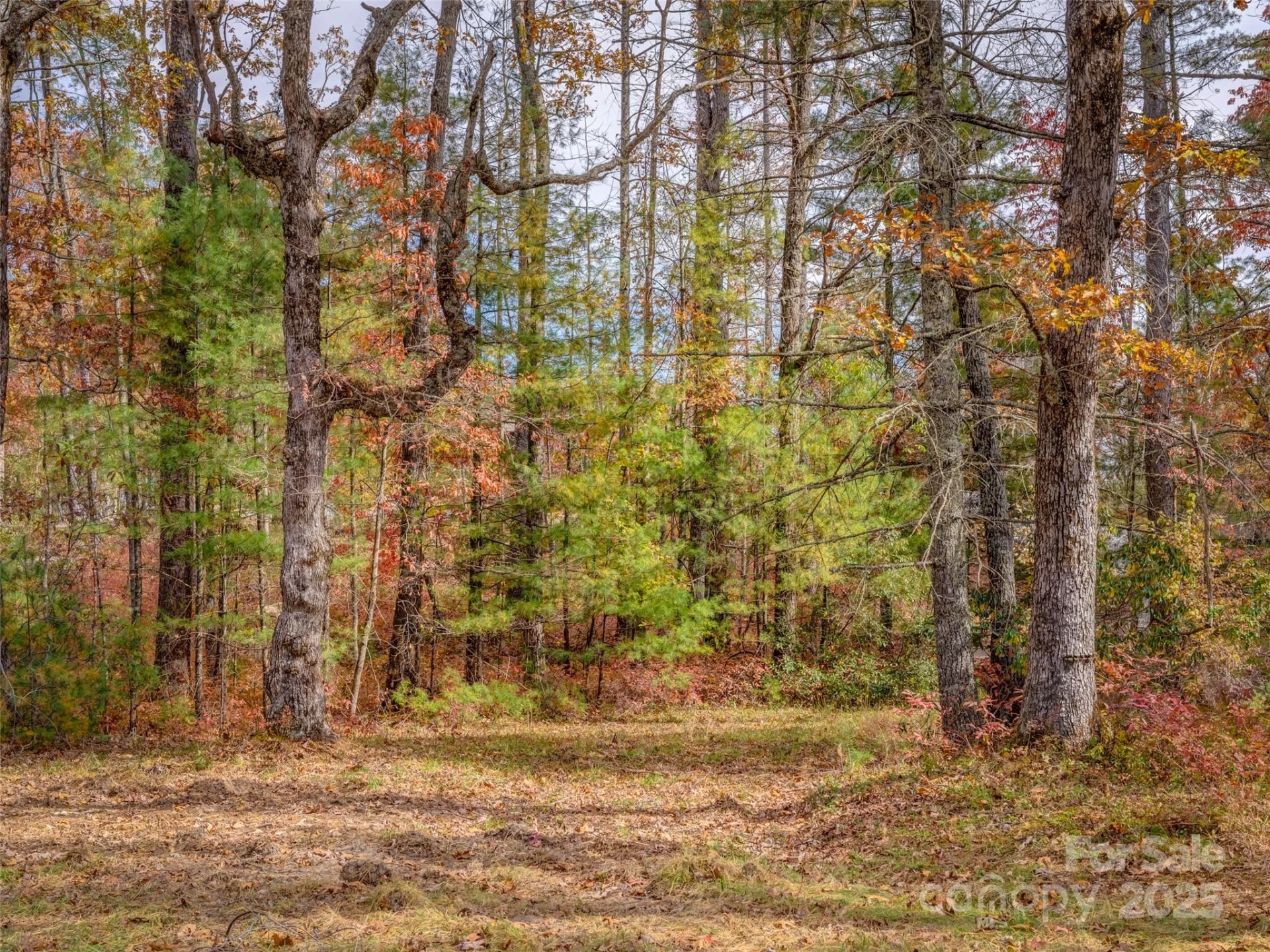 Lot 2-A Clearview Drive #2-A - Photo 19