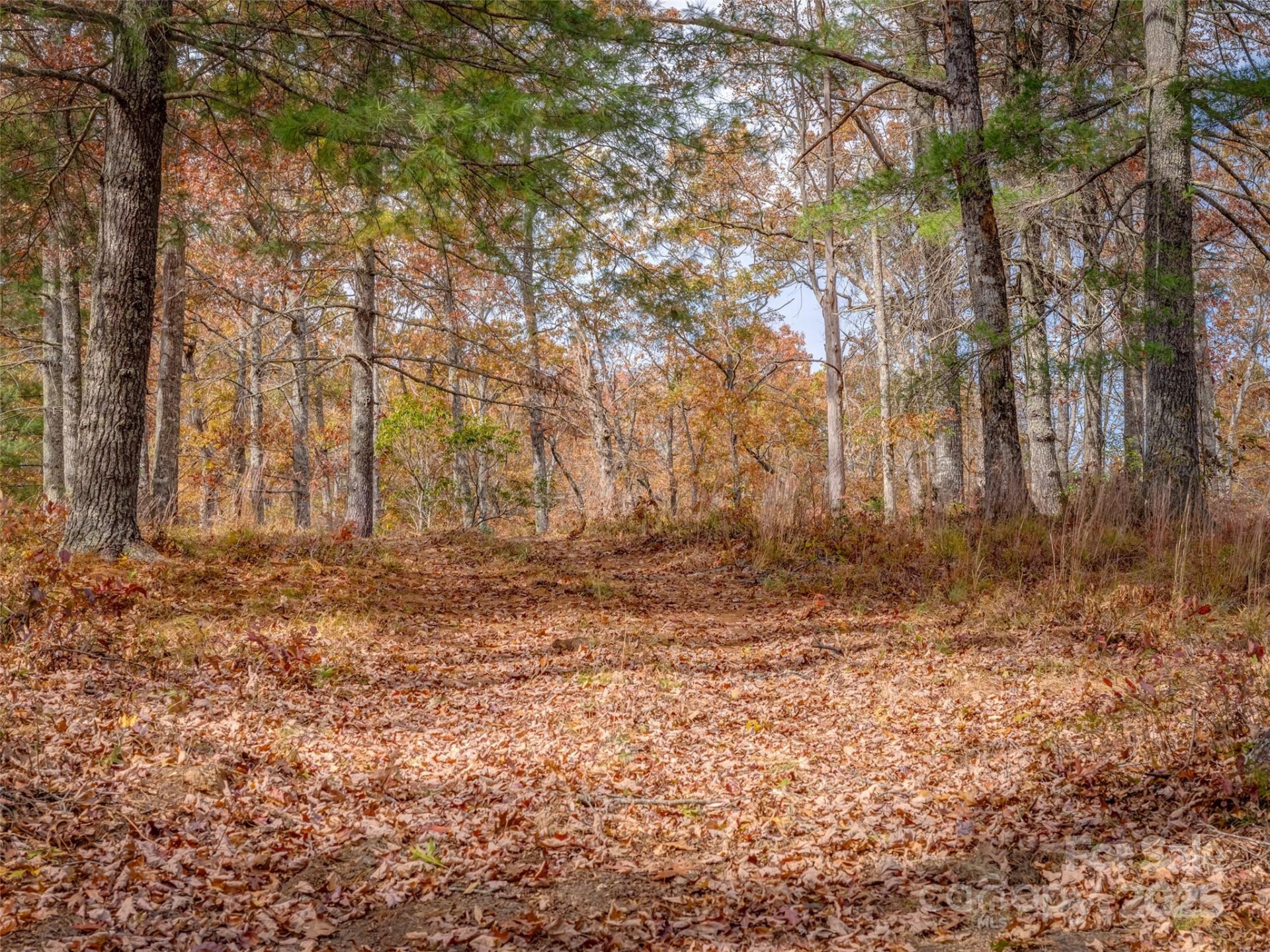 Lot 2-A Clearview Drive #2-A - Photo 20