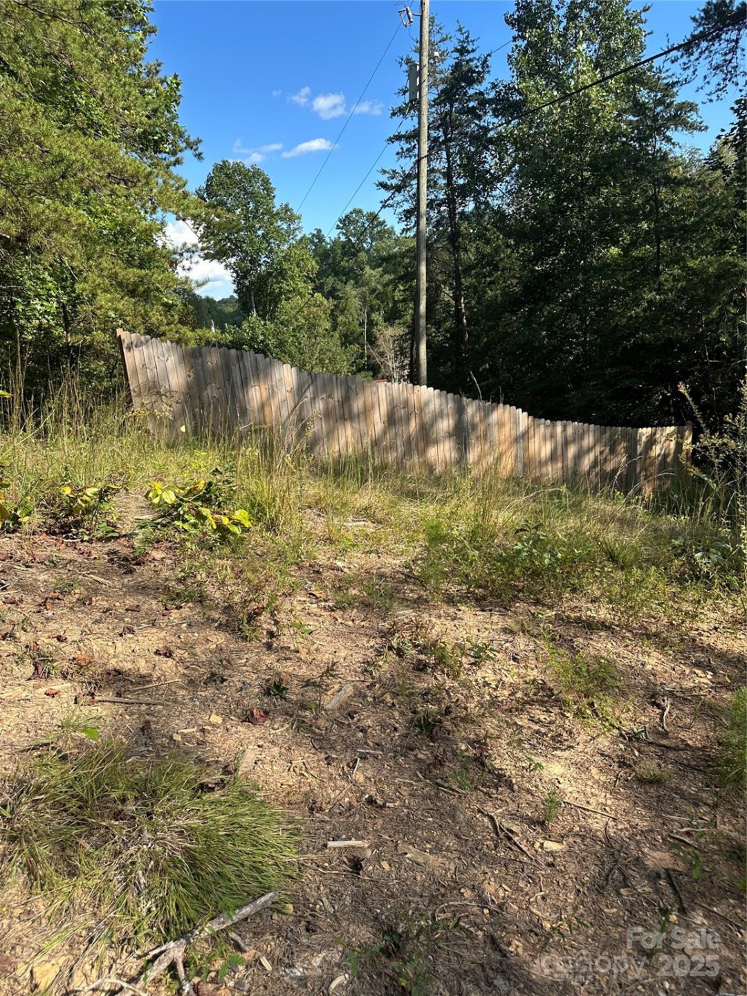 00 Wildlife Lake Road - Photo 13