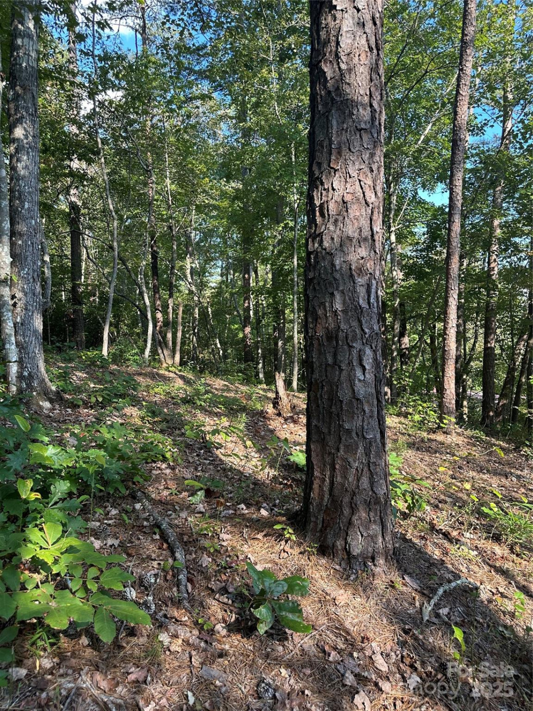 00 Wildlife Lake Road - Photo 16