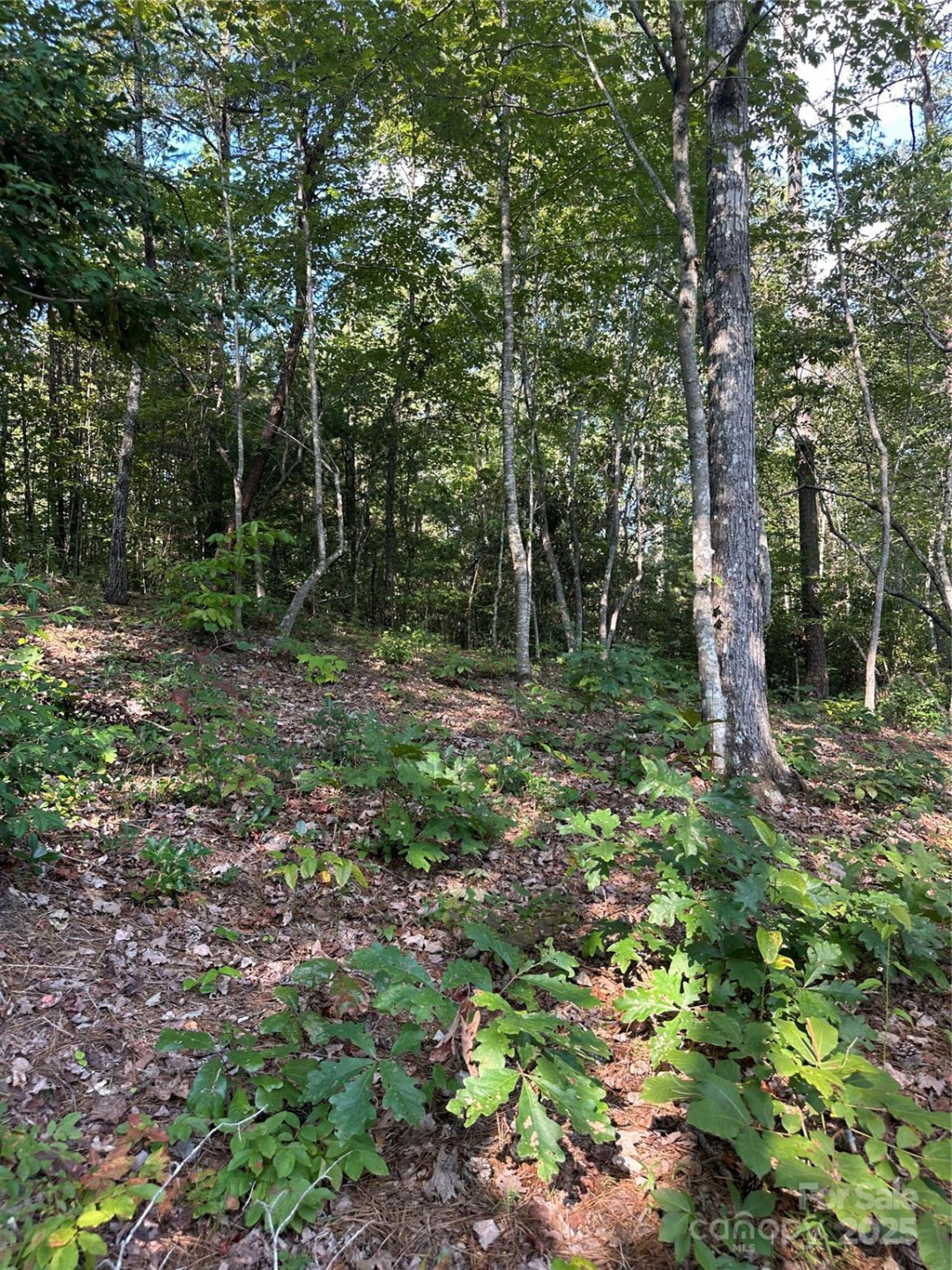 00 Wildlife Lake Road - Photo 17