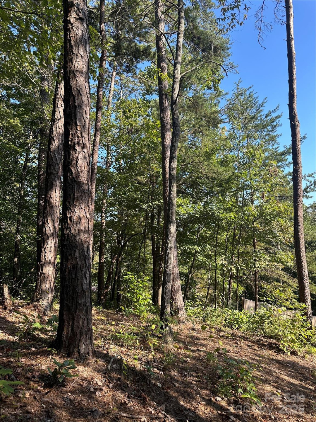 00 Wildlife Lake Road - Photo 18