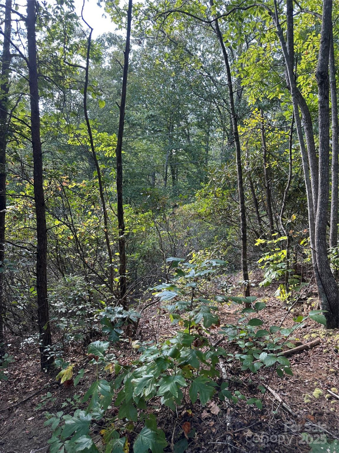 00 Wildlife Lake Road - Photo 19