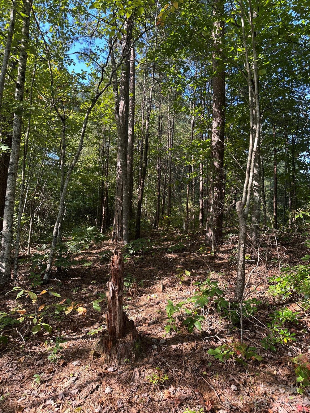 00 Wildlife Lake Road - Photo 20