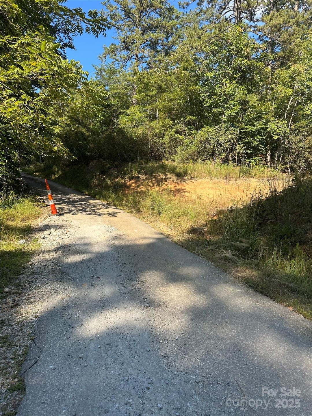00 Wildlife Lake Road - Photo 3