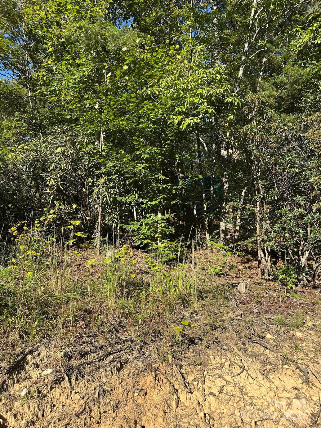 00 Wildlife Lake Road - Photo 21