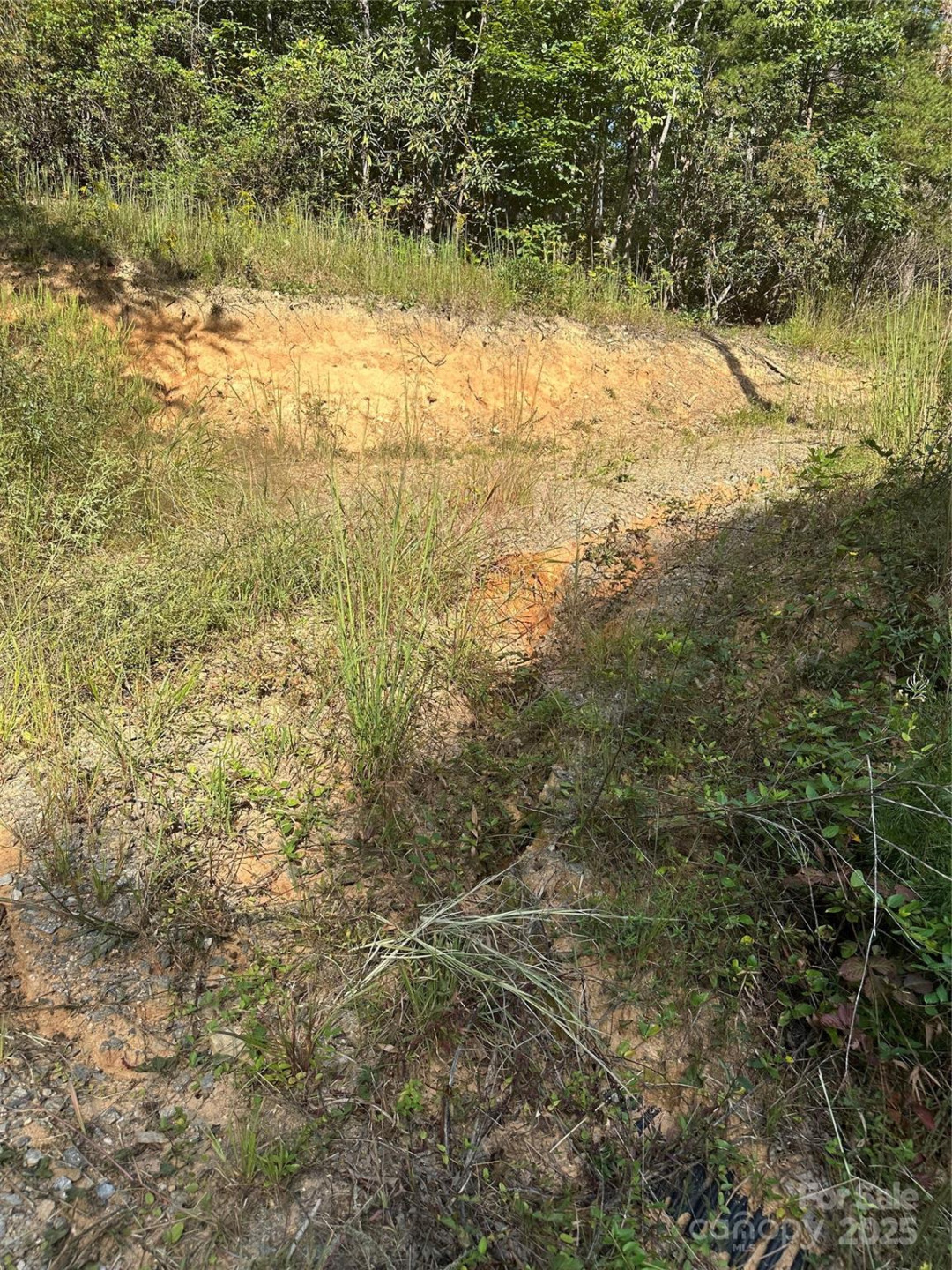 00 Wildlife Lake Road - Photo 4