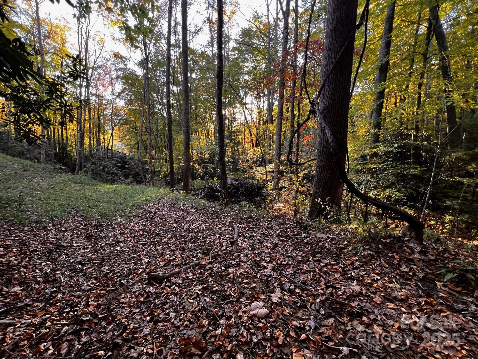 00 Rocky Face Drive #22,23,24 - Photo 3