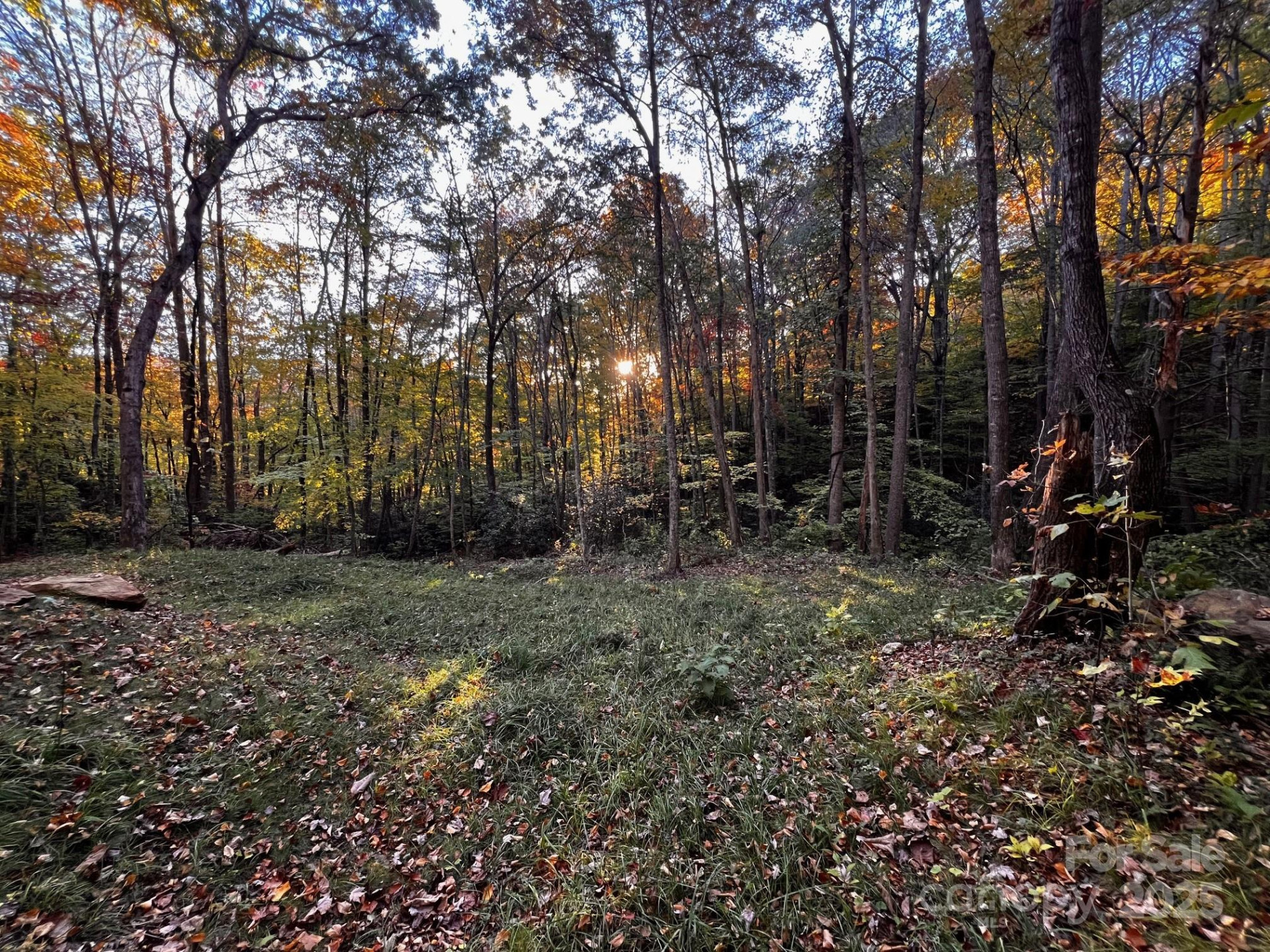 00 Rocky Face Drive #22,23,24 - Photo 4