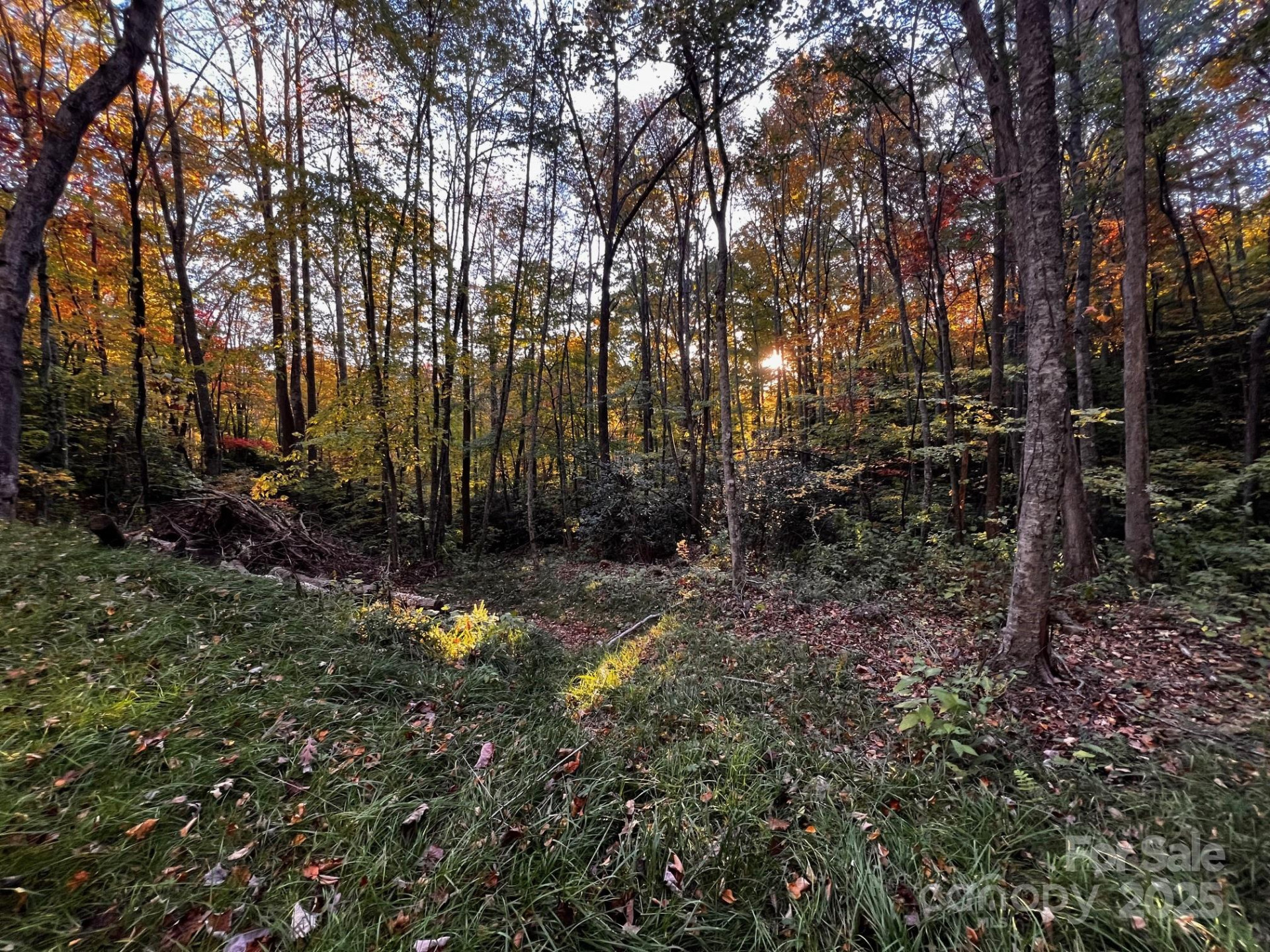 00 Rocky Face Drive #22,23,24 - Photo 6