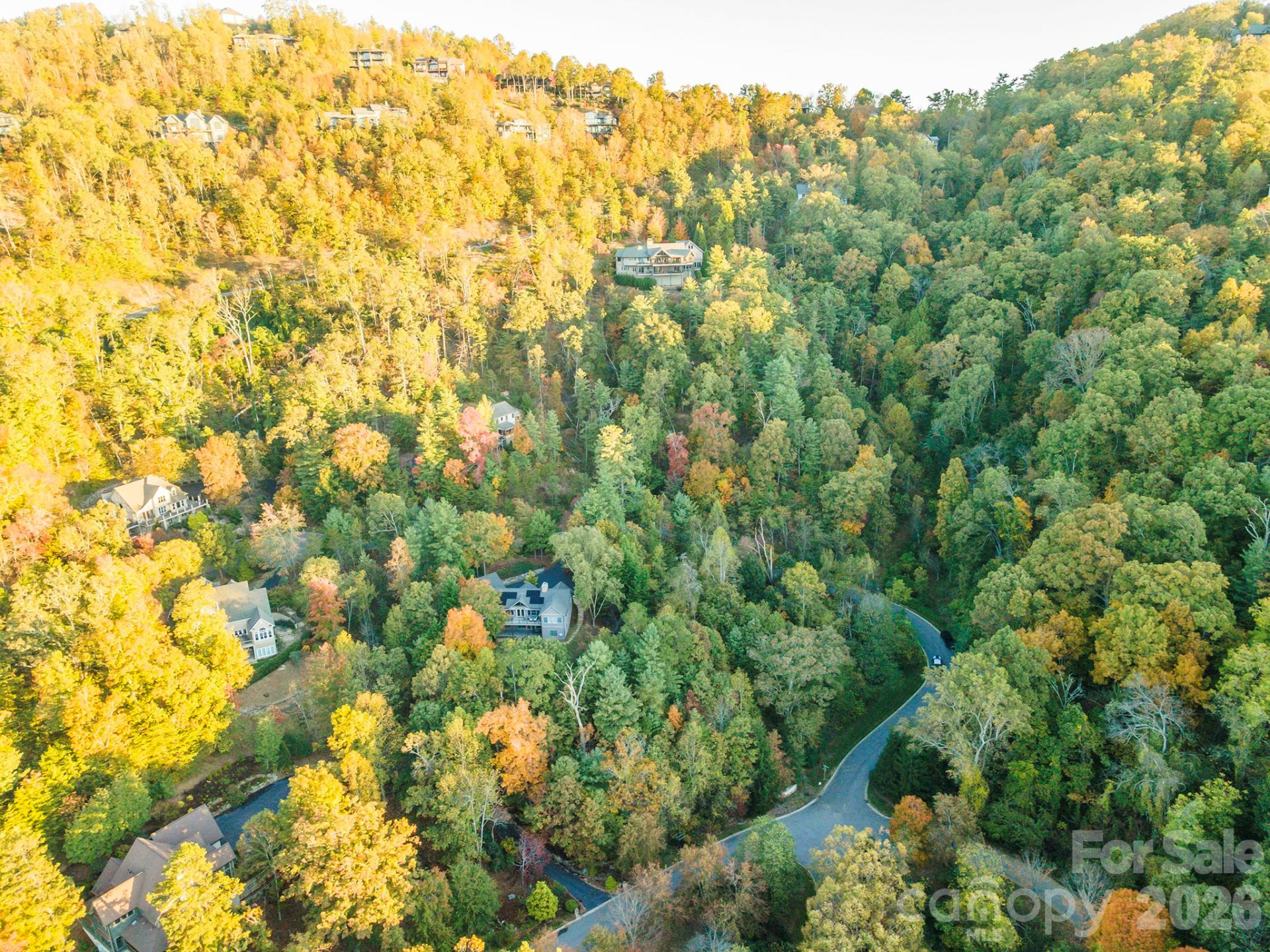 510 Sweetspire Ridge - Photo 11