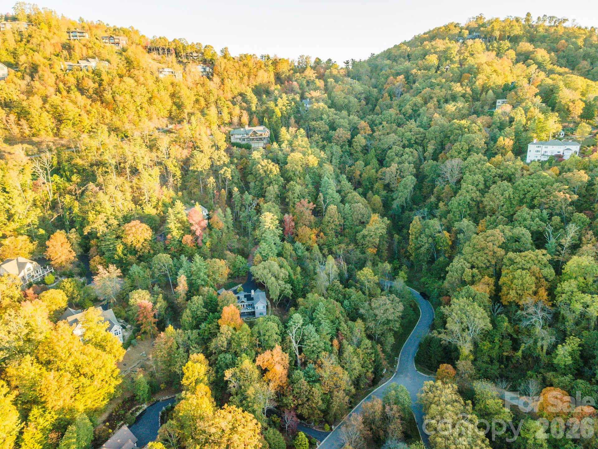 510 Sweetspire Ridge - Photo 12