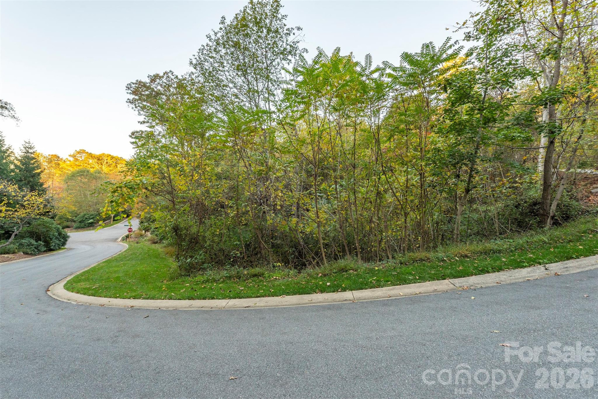 510 Sweetspire Ridge - Photo 14