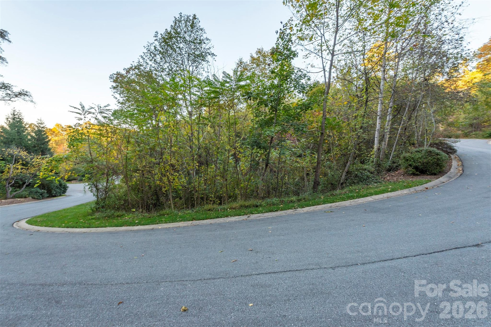 510 Sweetspire Ridge - Photo 16