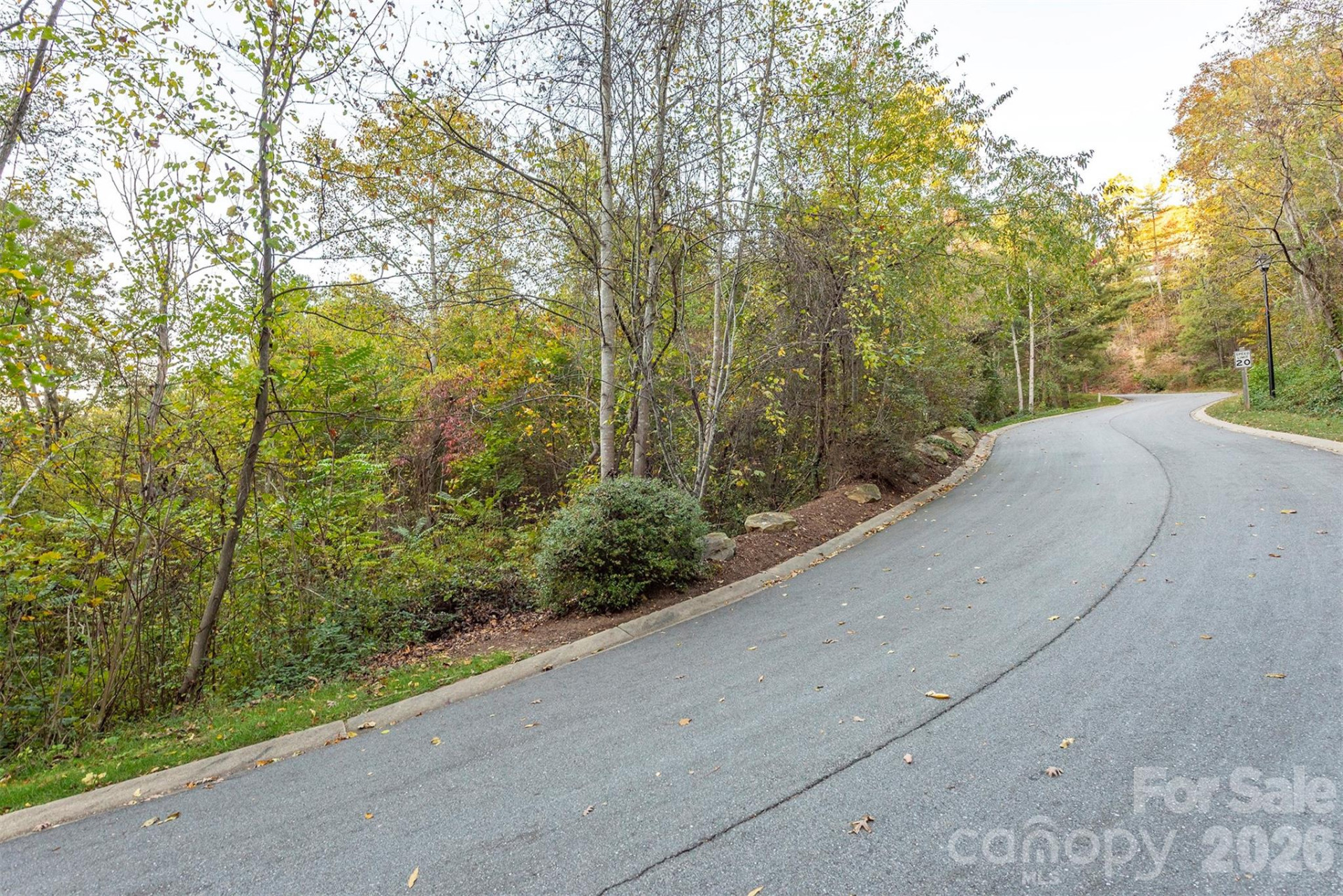 510 Sweetspire Ridge - Photo 17