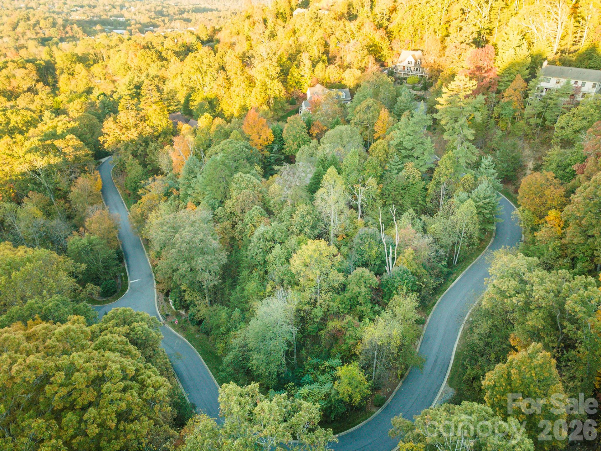 510 Sweetspire Ridge - Photo 6