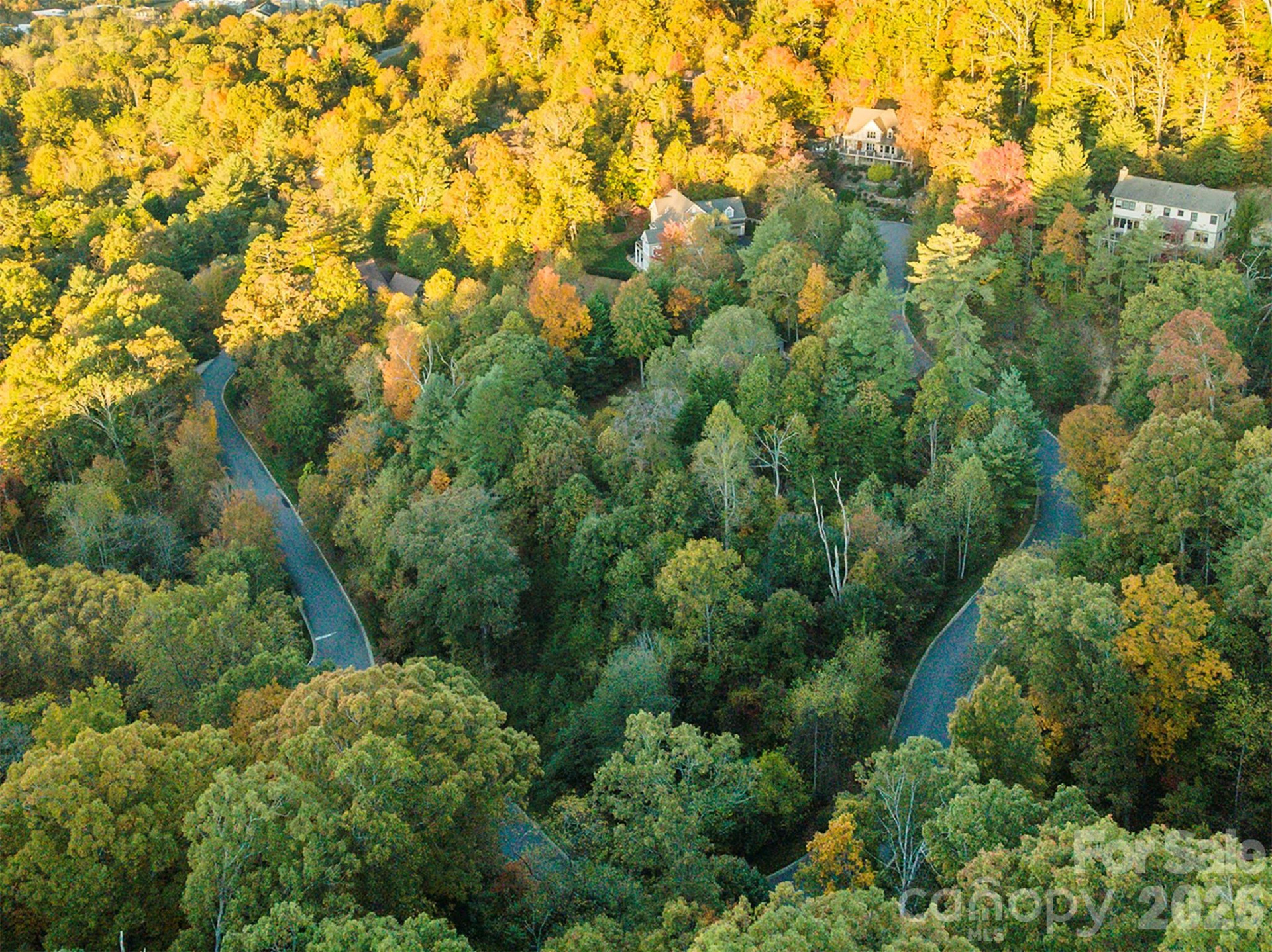 510 Sweetspire Ridge - Photo 8