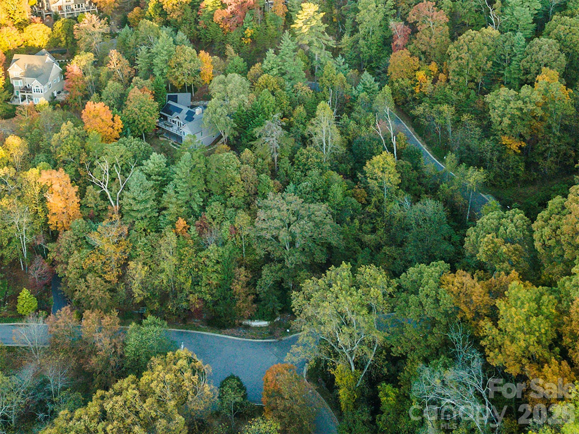 510 Sweetspire Ridge - Photo 10