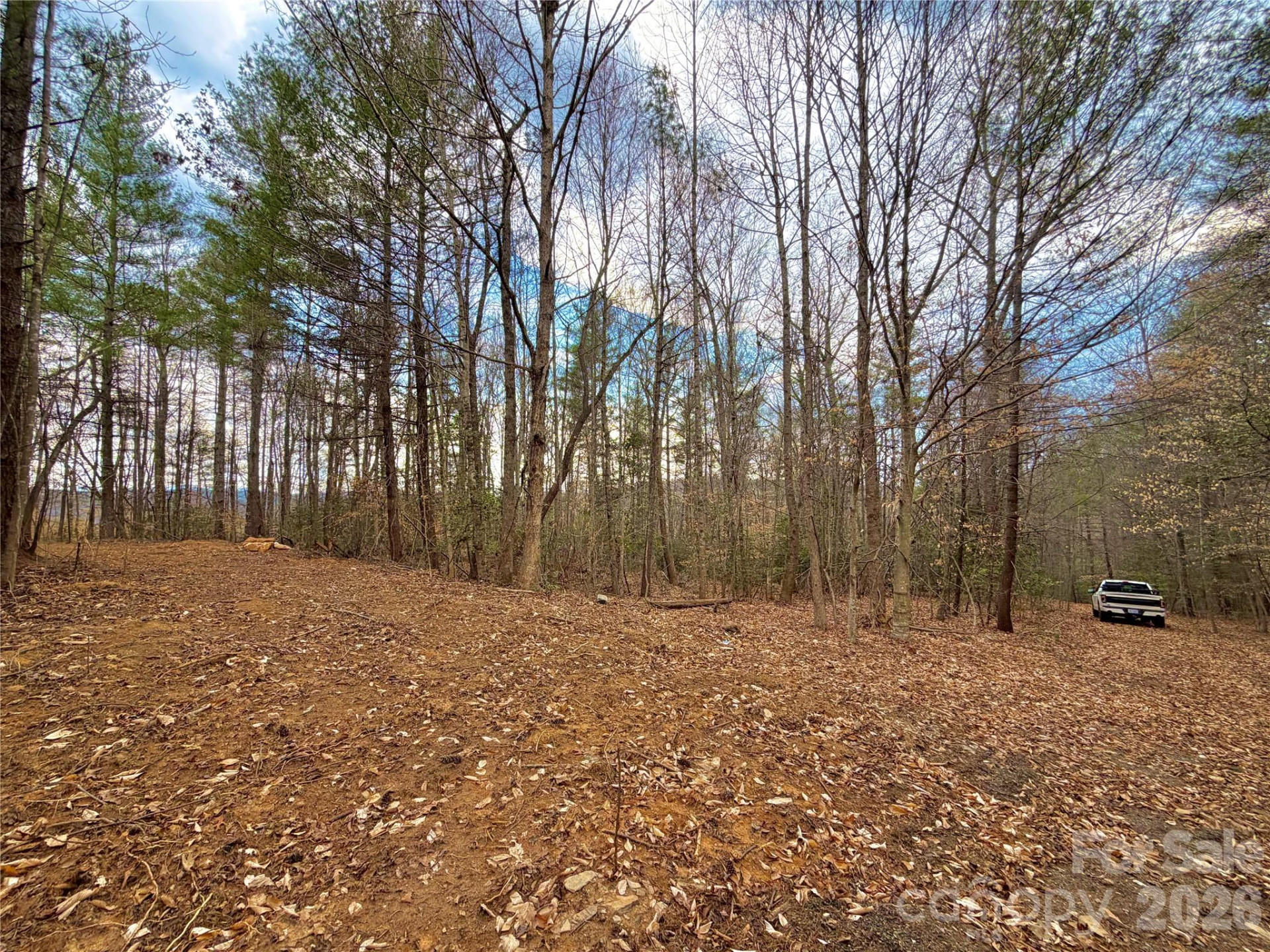 2800 Snipes Street #3 - Photo 3