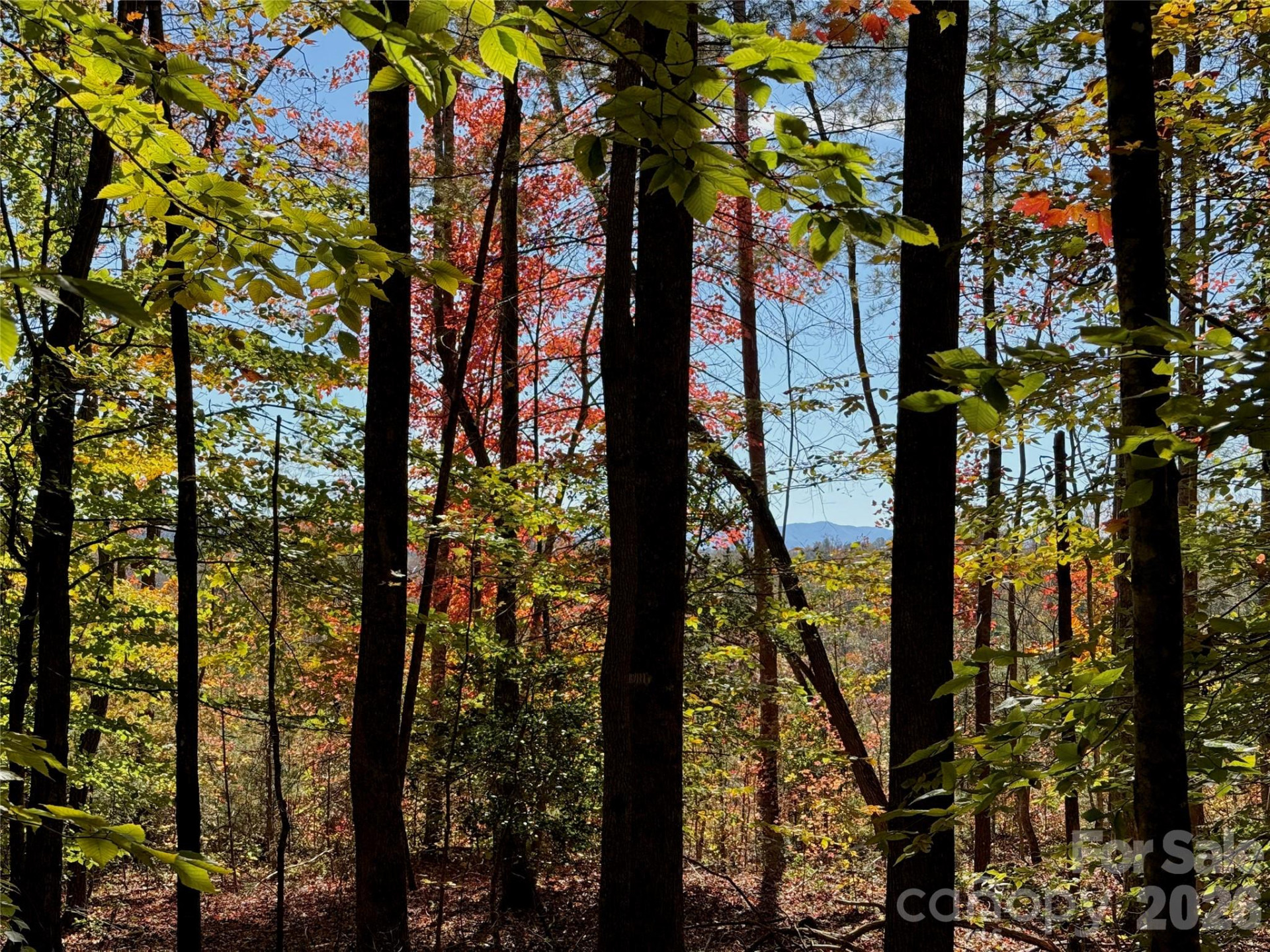 2800 Snipes Street #3 - Photo 21