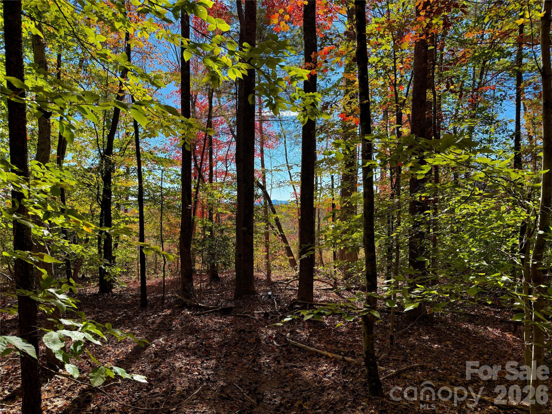 2800 Snipes Street #3 - Photo 23