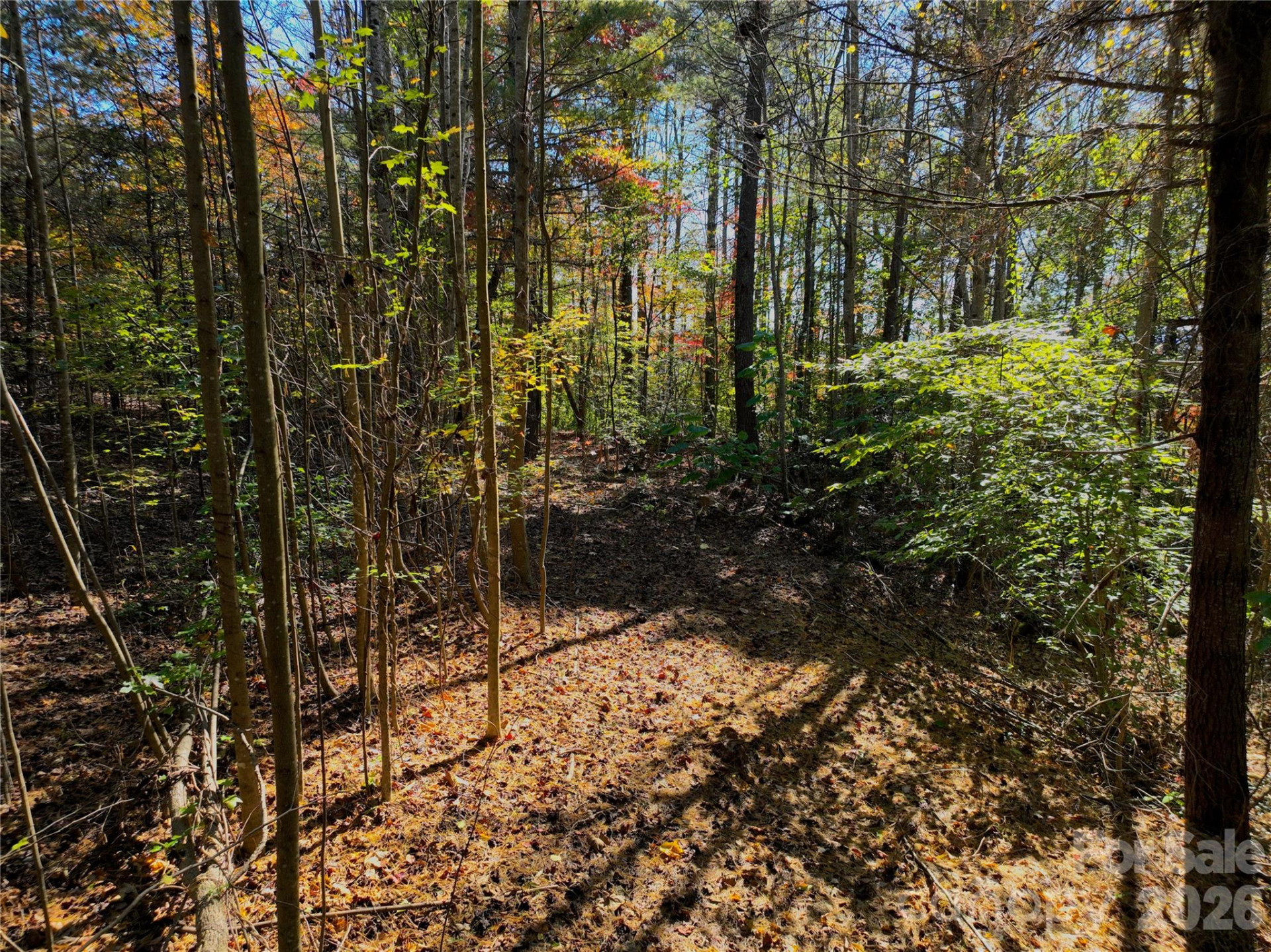 2800 Snipes Street #3 - Photo 27