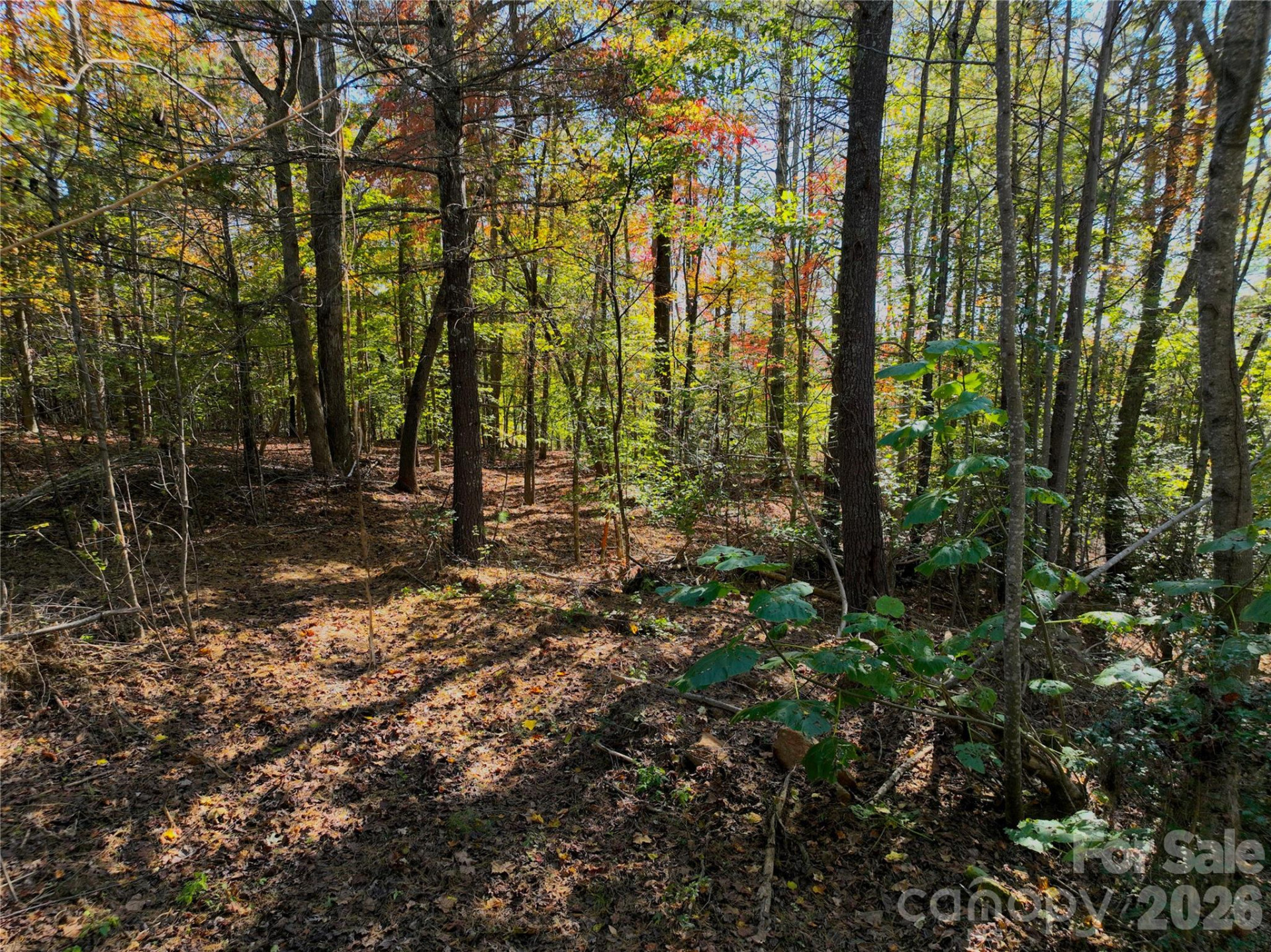 2800 Snipes Street #3 - Photo 29