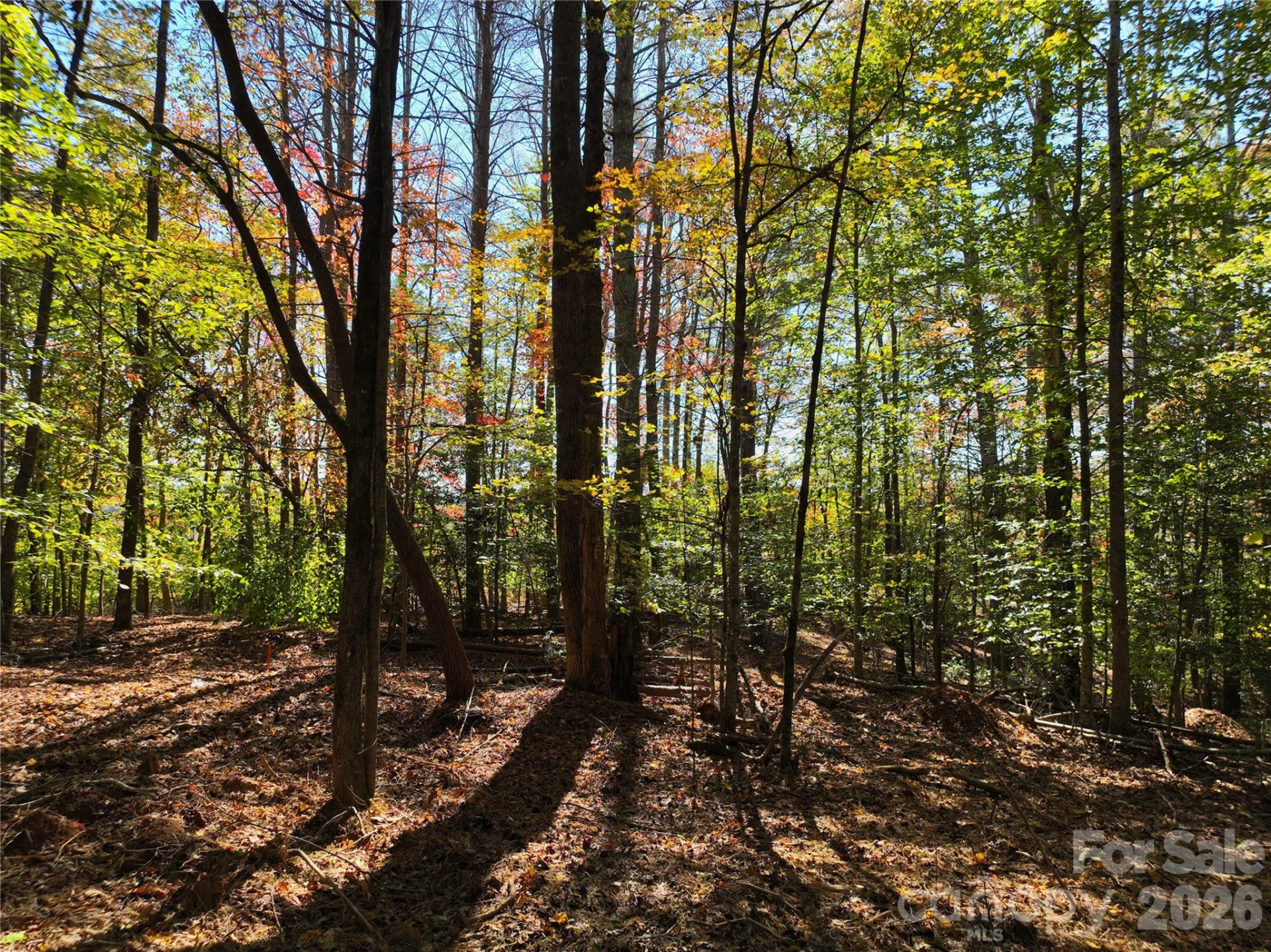 2800 Snipes Street #3 - Photo 31